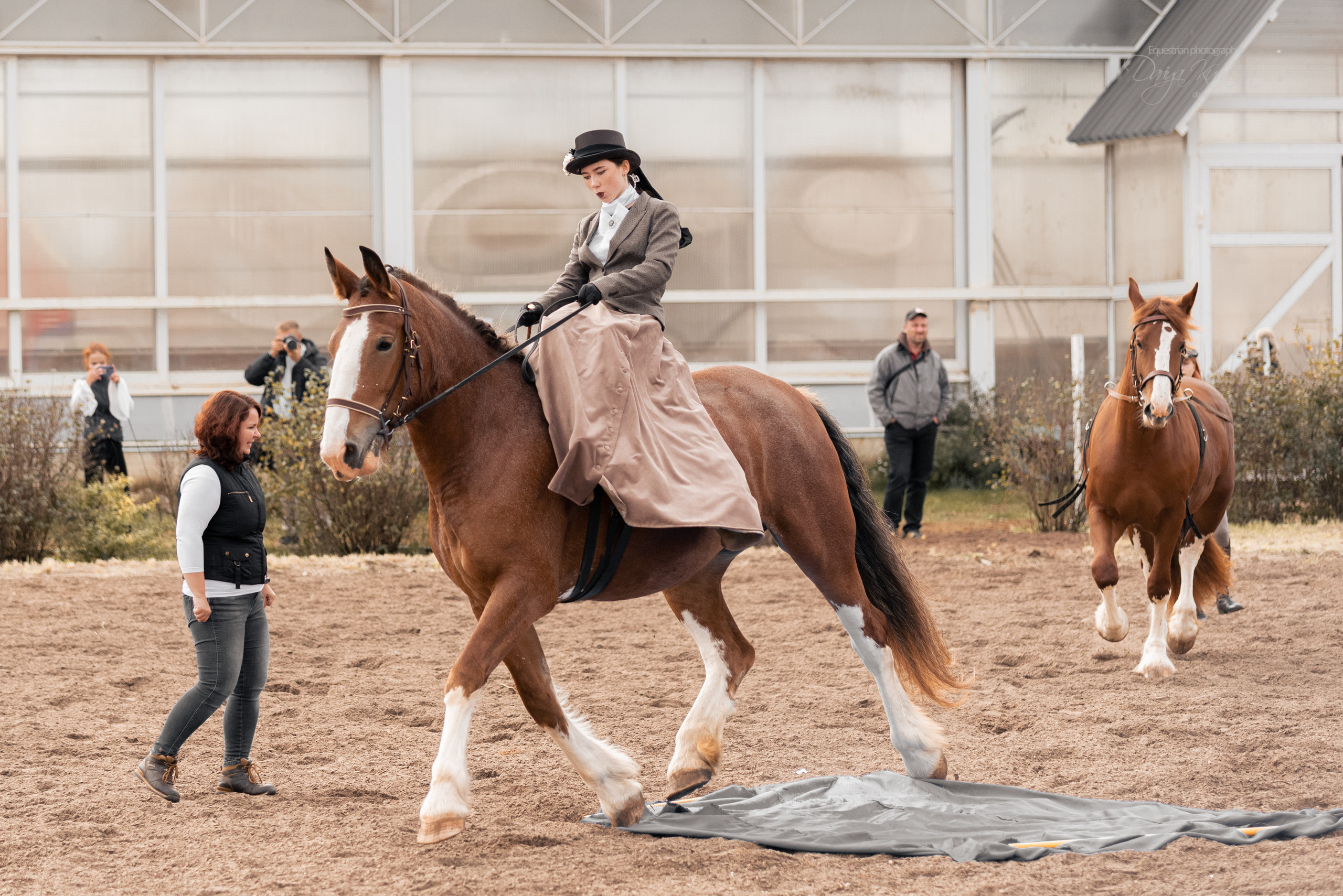 Богдарня. Конный фотограф Куракина Дарья • Фотосессии с лошадьми