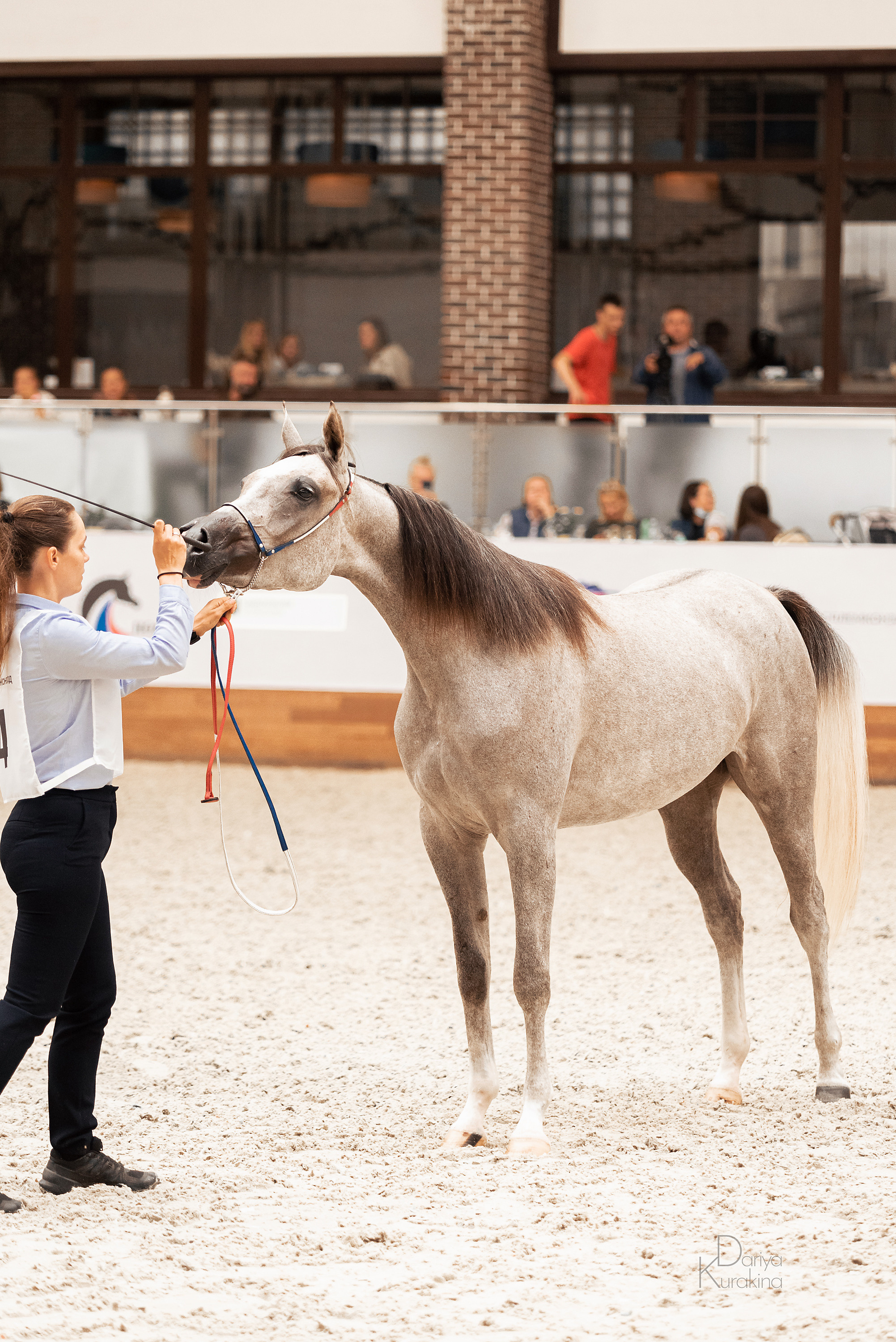 Конная Россия 2021. Конный фотограф Куракина Дарья • Фотосессии с лошадьми
