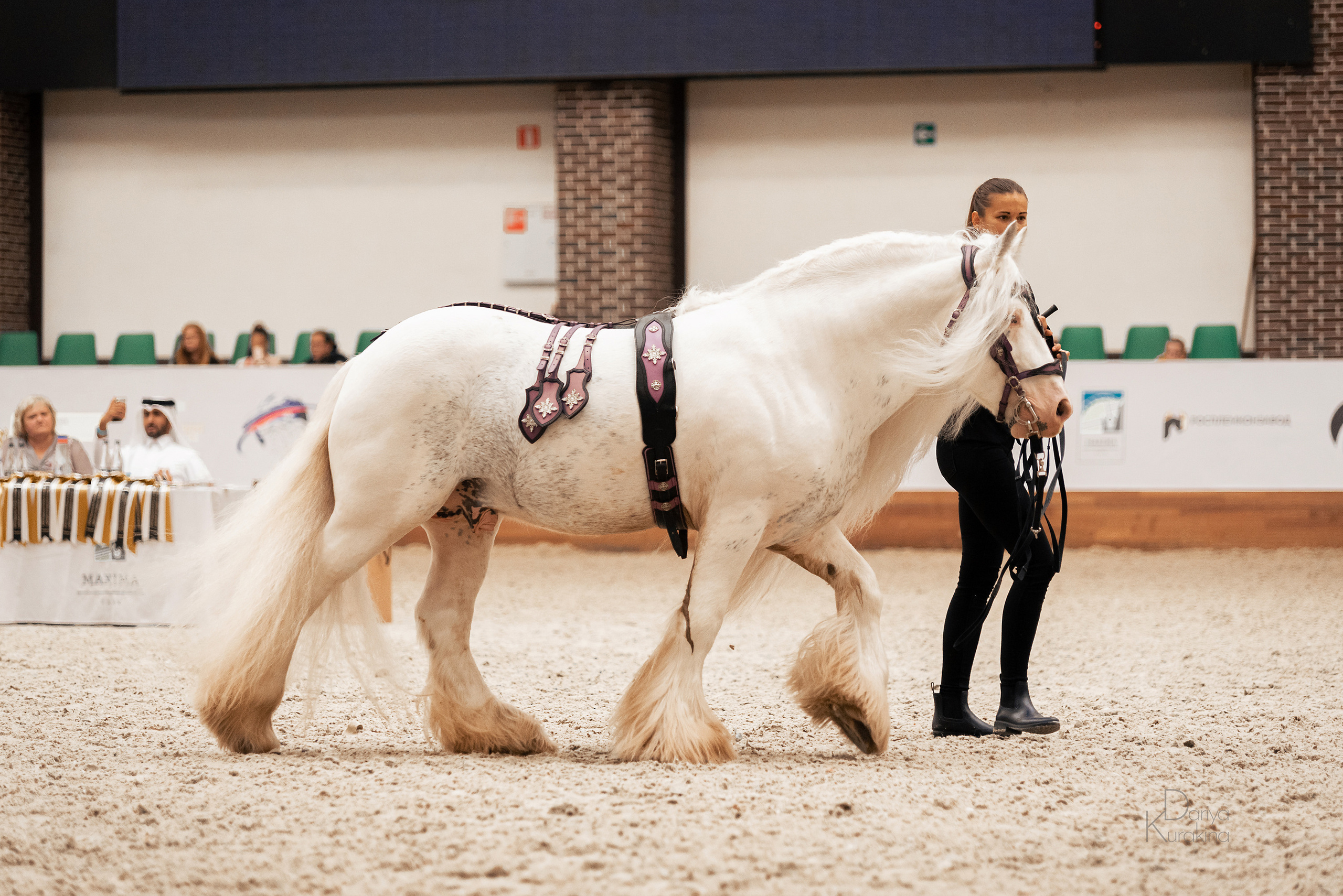 Конная Россия 2021. Конный фотограф Куракина Дарья • Фотосессии с лошадьми