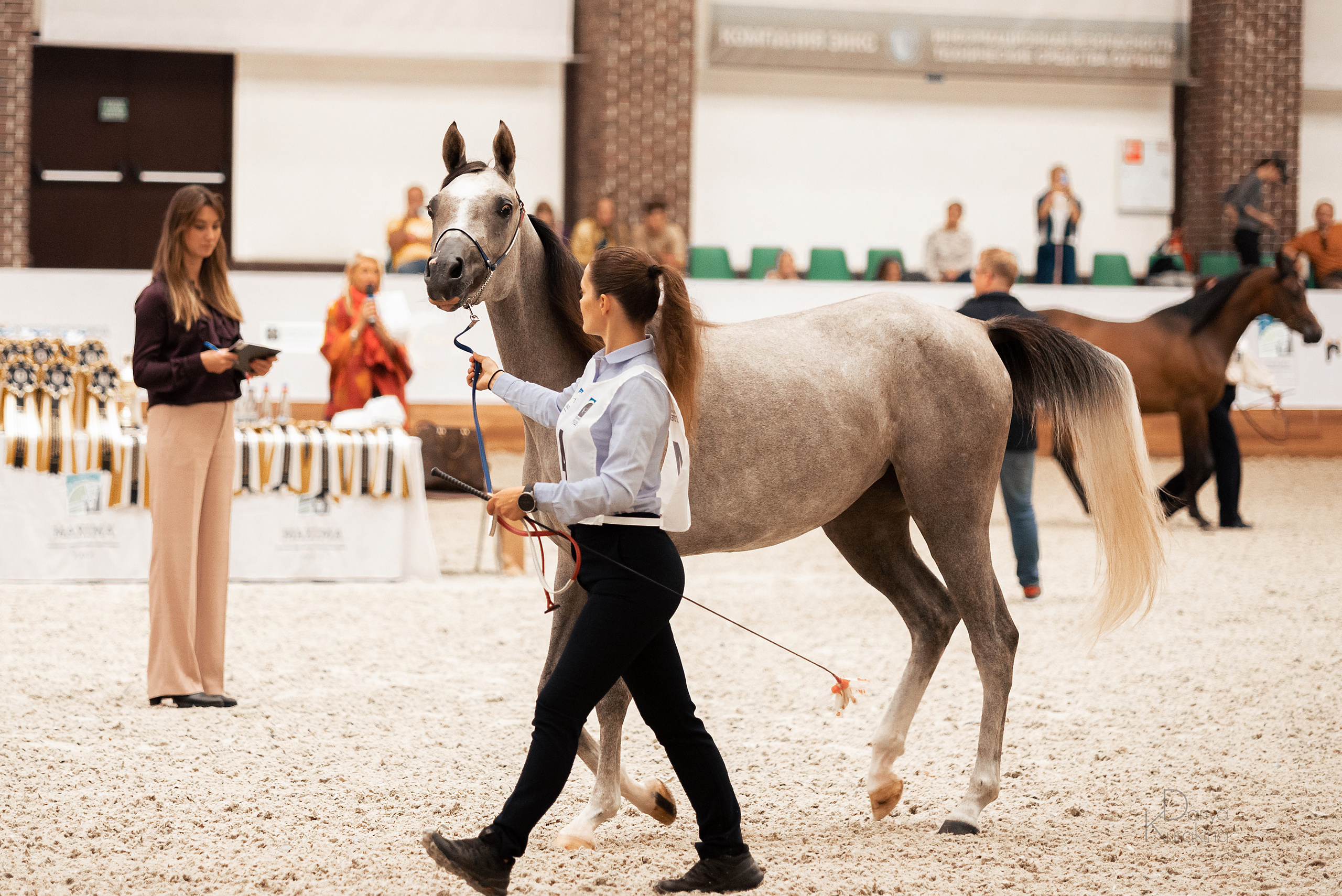 Конная Россия 2021. Конный фотограф Куракина Дарья • Фотосессии с лошадьми