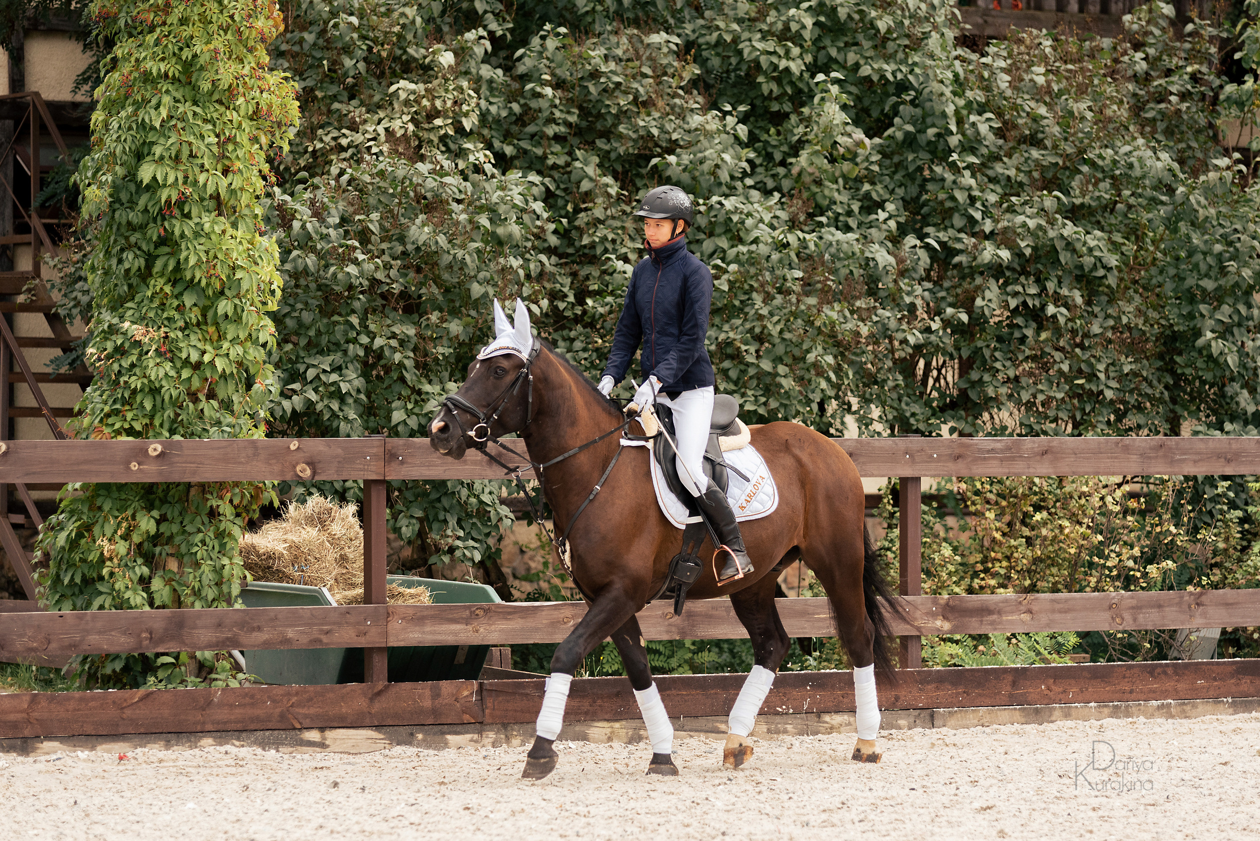 КСК Белая Дача, конкур. Конный фотограф Куракина Дарья • Фотосессии с лошадьми