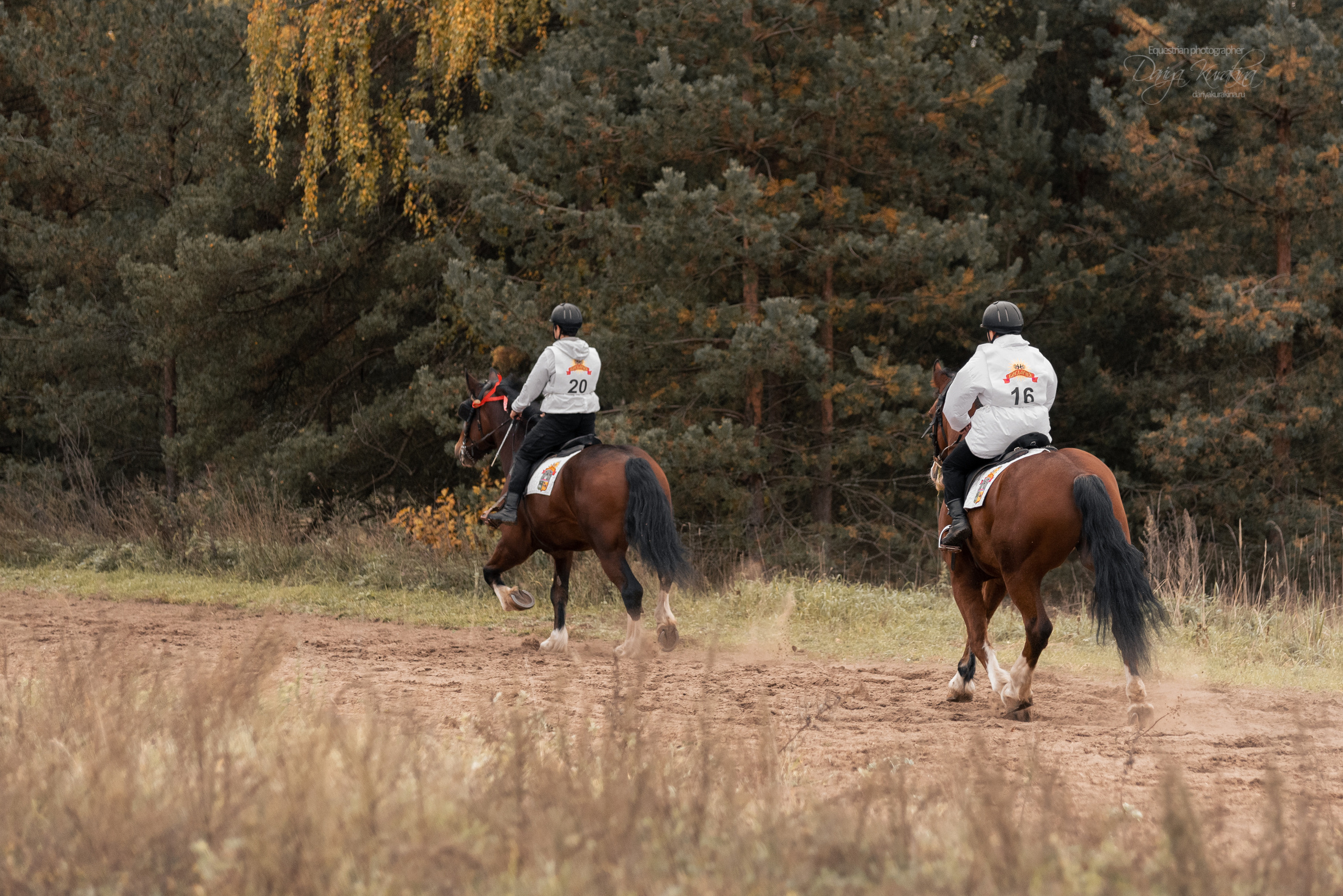 Богдарня. Конный фотограф Куракина Дарья • Фотосессии с лошадьми