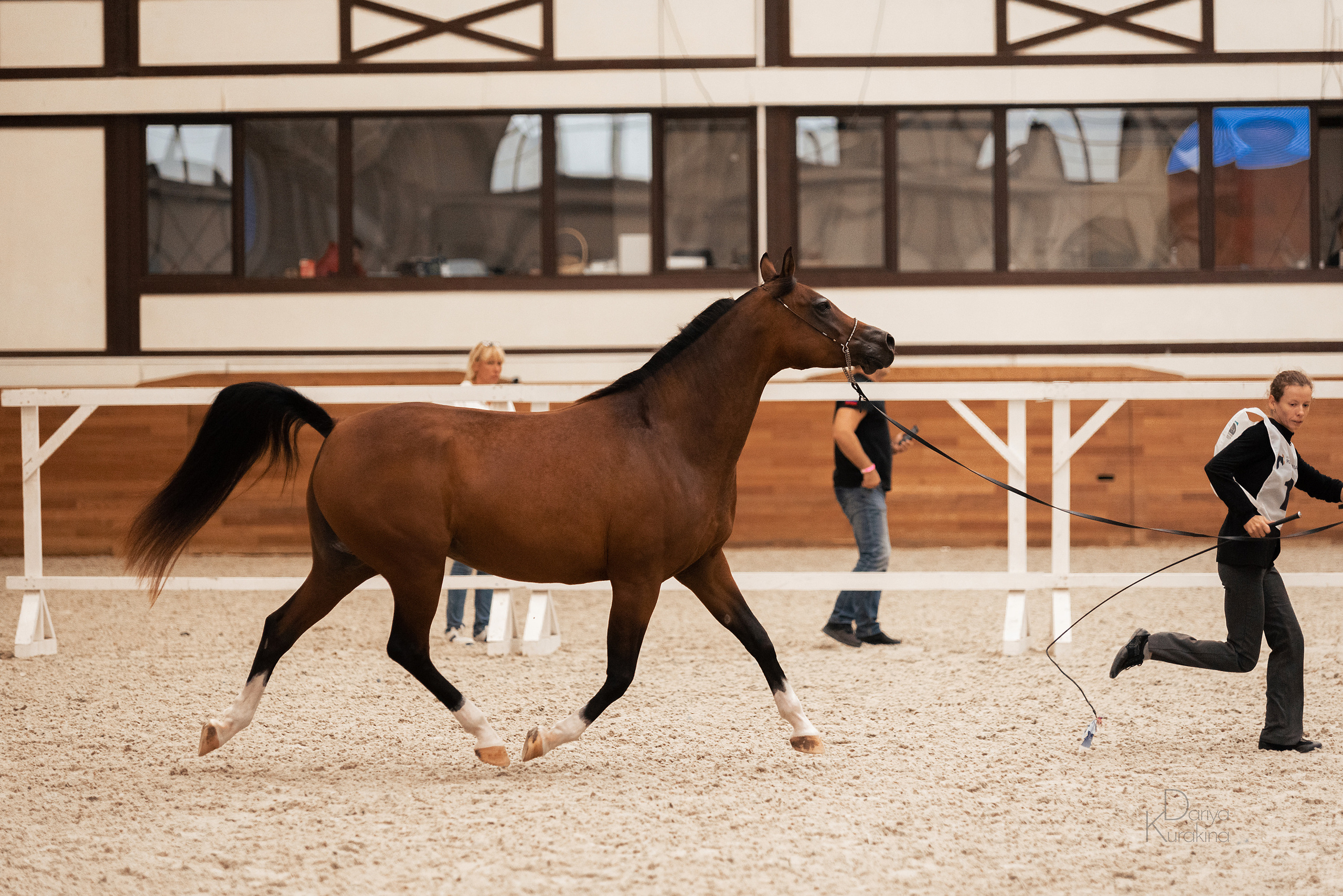 Конная Россия 2021. Конный фотограф Куракина Дарья • Фотосессии с лошадьми