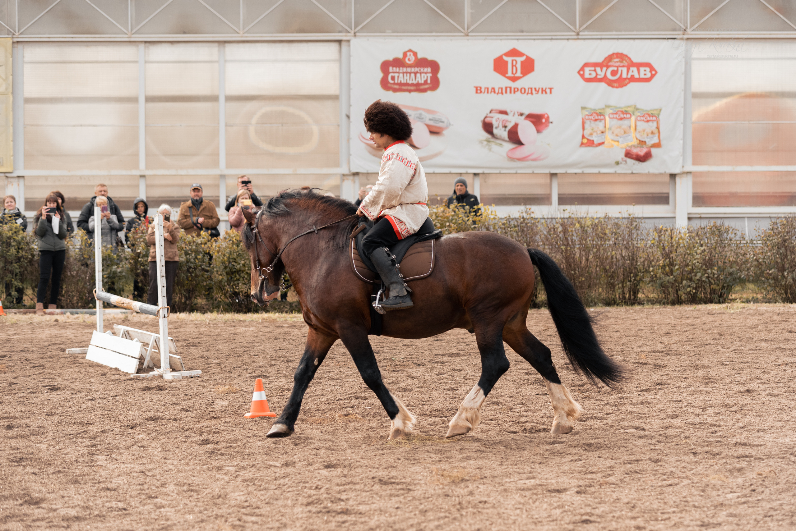 Богдарня. Конный фотограф Куракина Дарья • Фотосессии с лошадьми