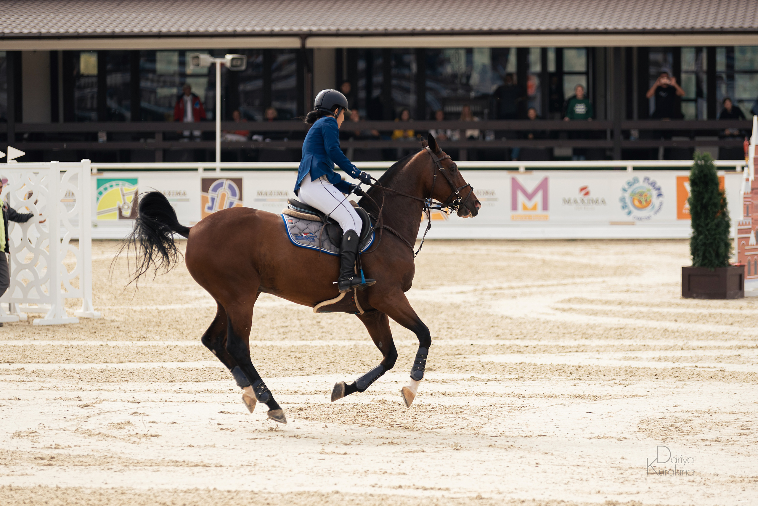 Конная Россия 2021. Конный фотограф Куракина Дарья • Фотосессии с лошадьми