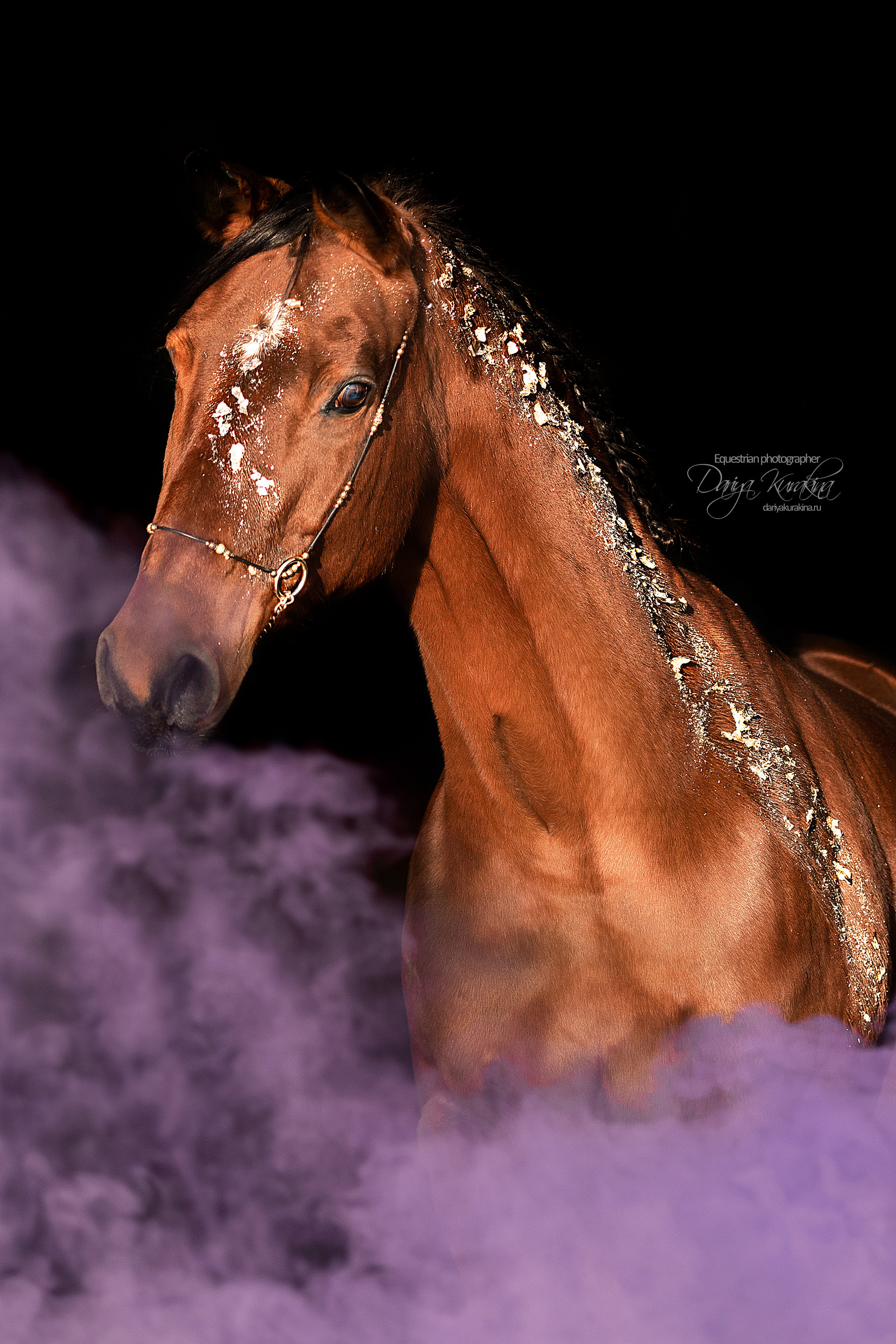 Сияние. Конный фотограф Куракина Дарья • Фотосессии с лошадьми