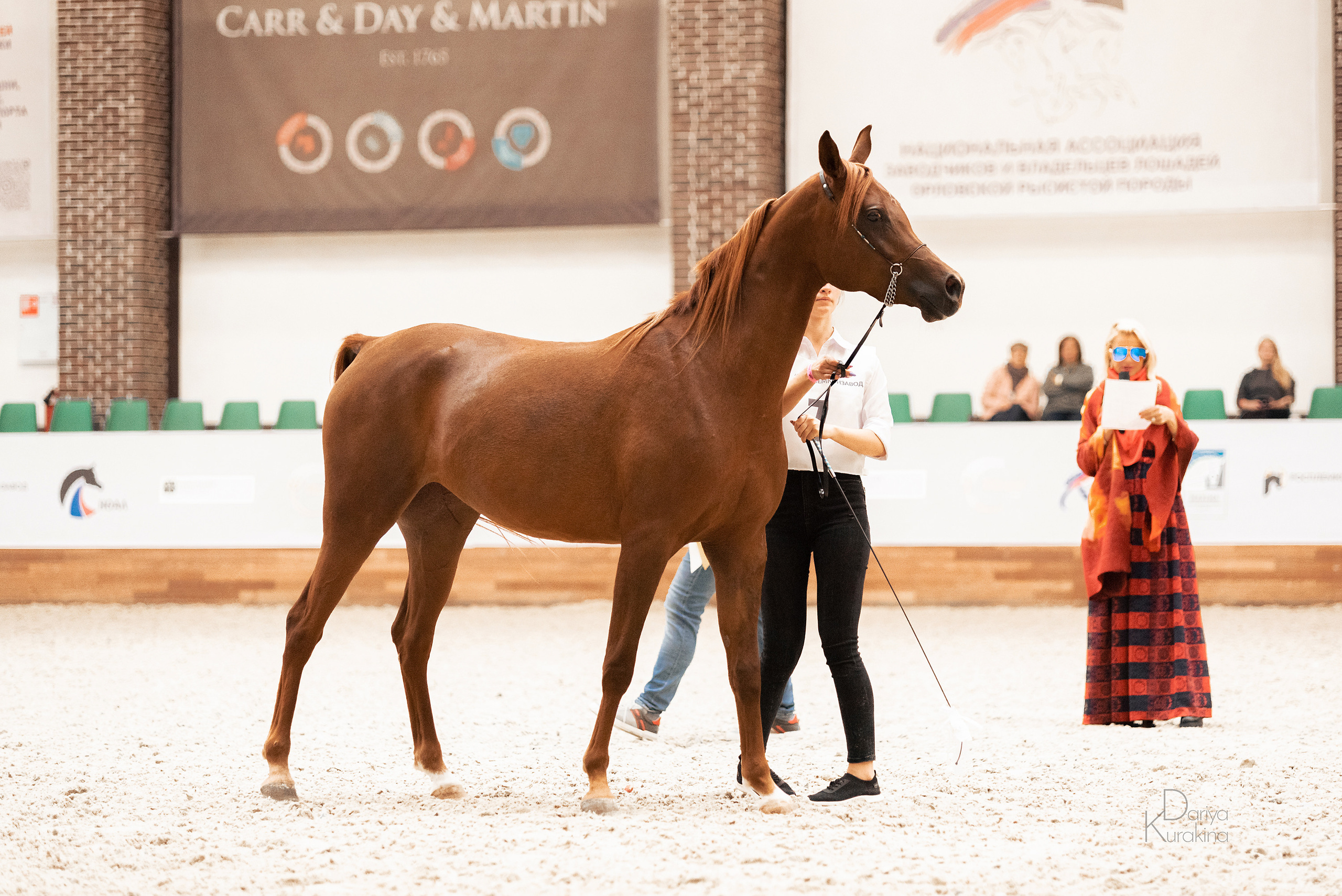 Конная Россия 2021. Конный фотограф Куракина Дарья • Фотосессии с лошадьми