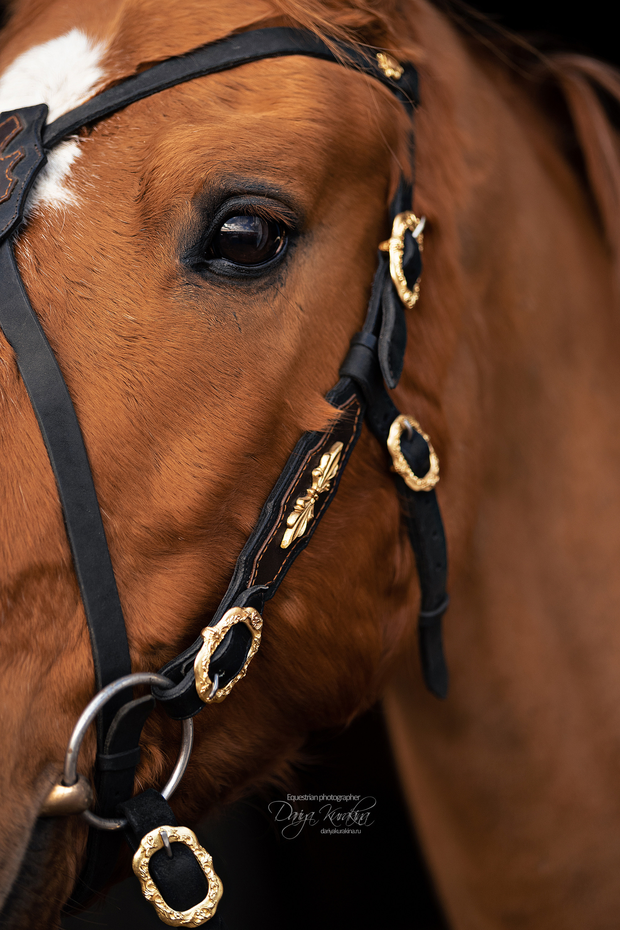 Таня и Барабан. Конный фотограф Куракина Дарья • Фотосессии с лошадьми