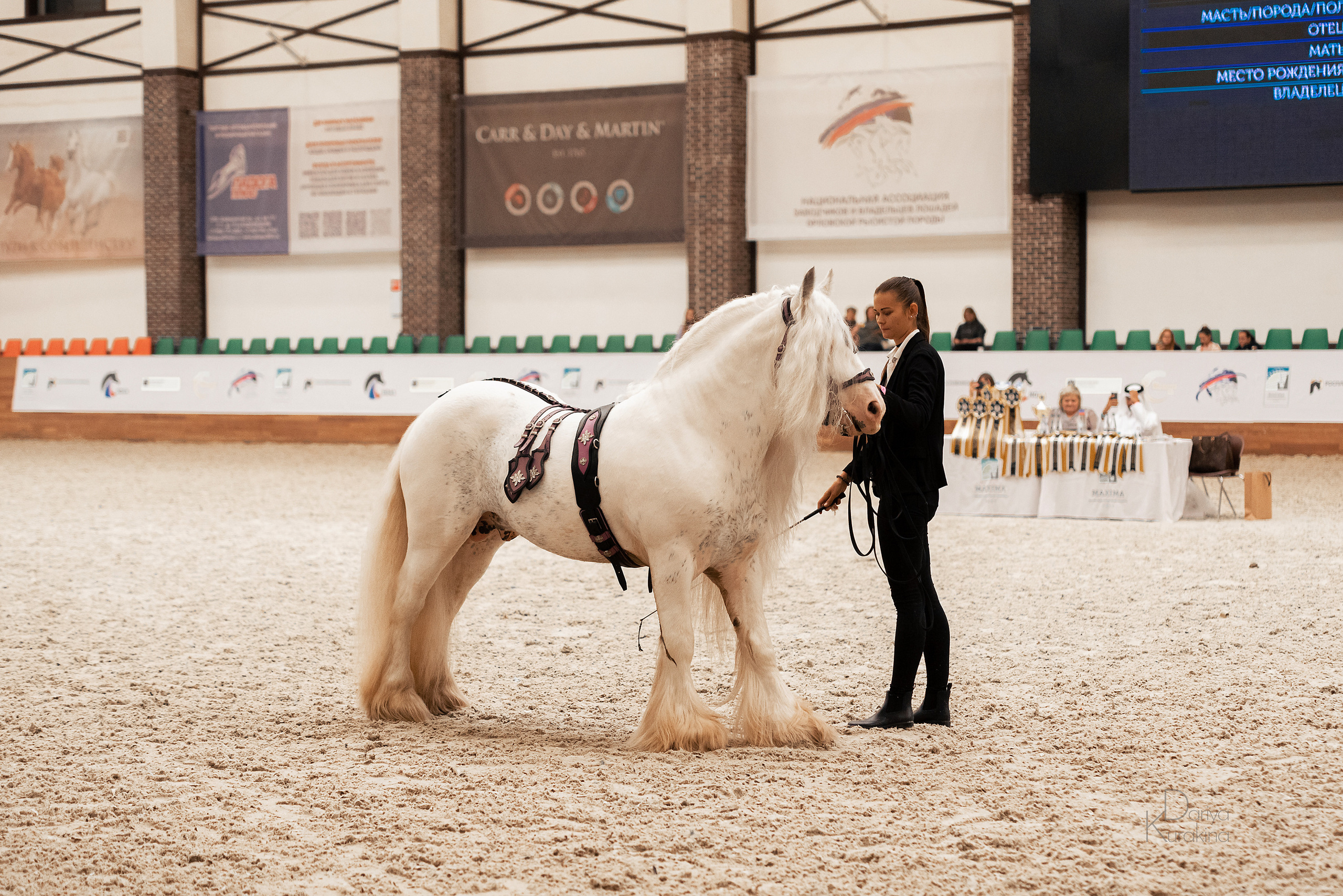 Конная Россия 2021. Конный фотограф Куракина Дарья • Фотосессии с лошадьми