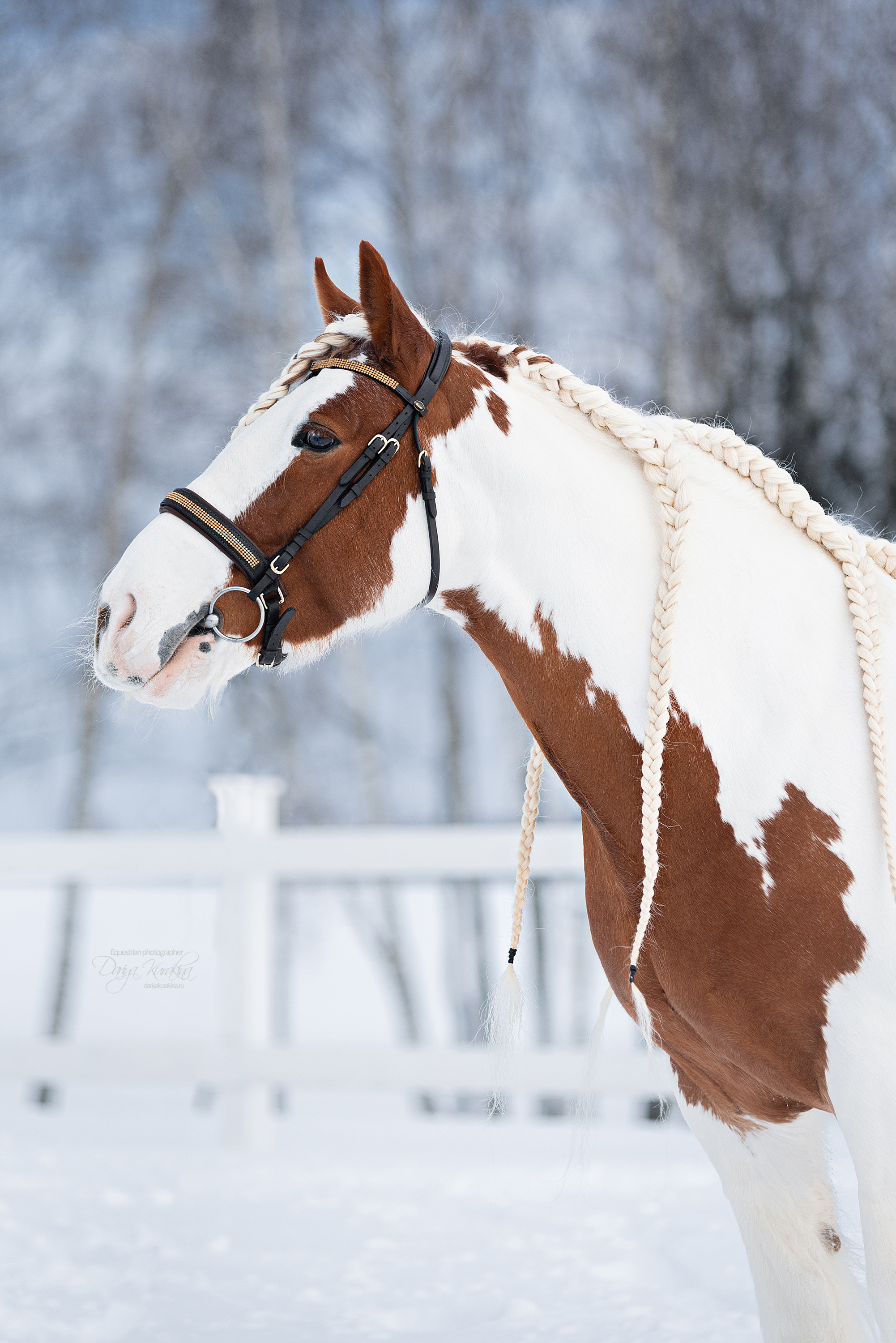 Лафарейдо. Конный фотограф Куракина Дарья • Фотосессии с лошадьми