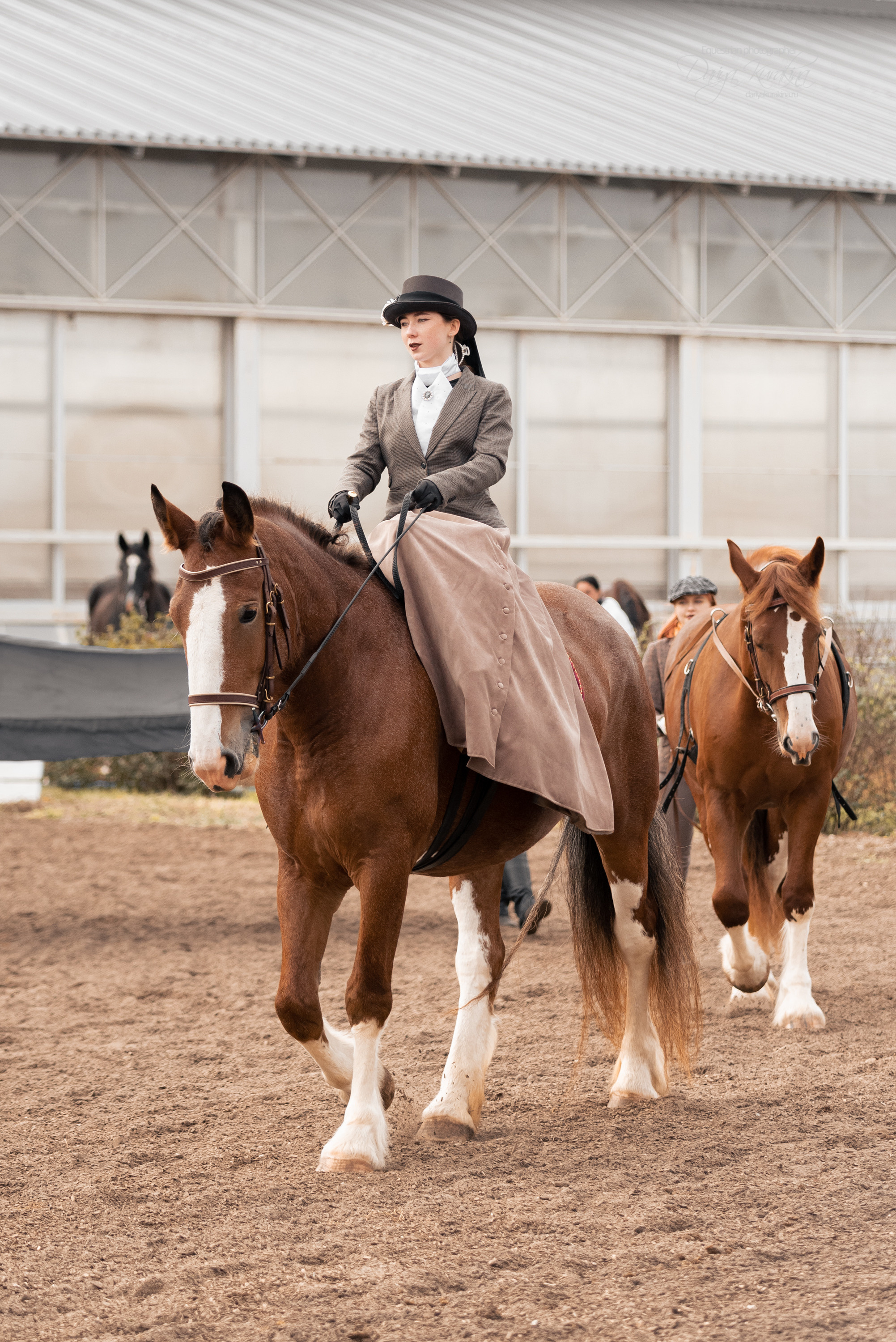 Богдарня. Конный фотограф Куракина Дарья • Фотосессии с лошадьми