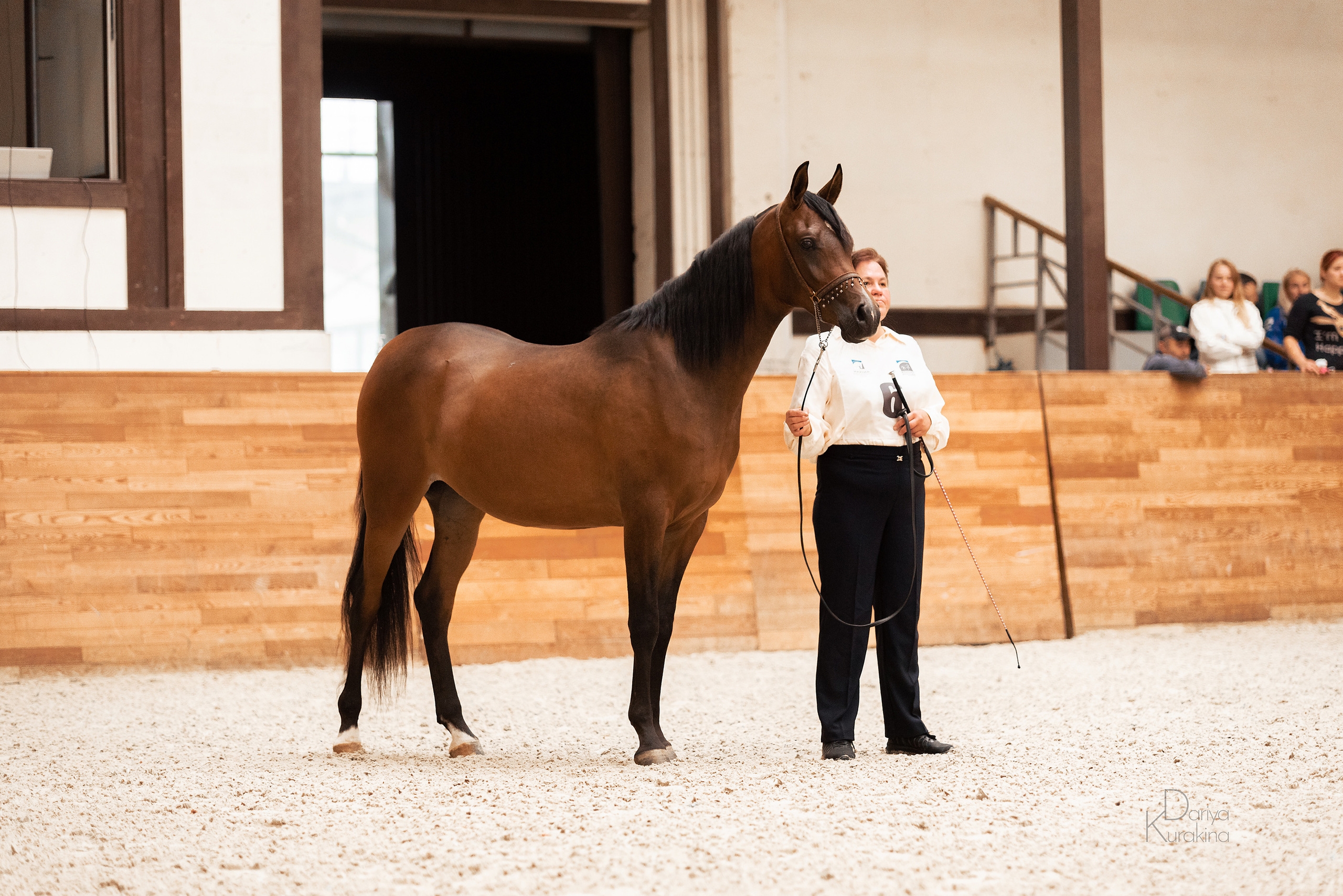 Конная Россия 2021. Конный фотограф Куракина Дарья • Фотосессии с лошадьми