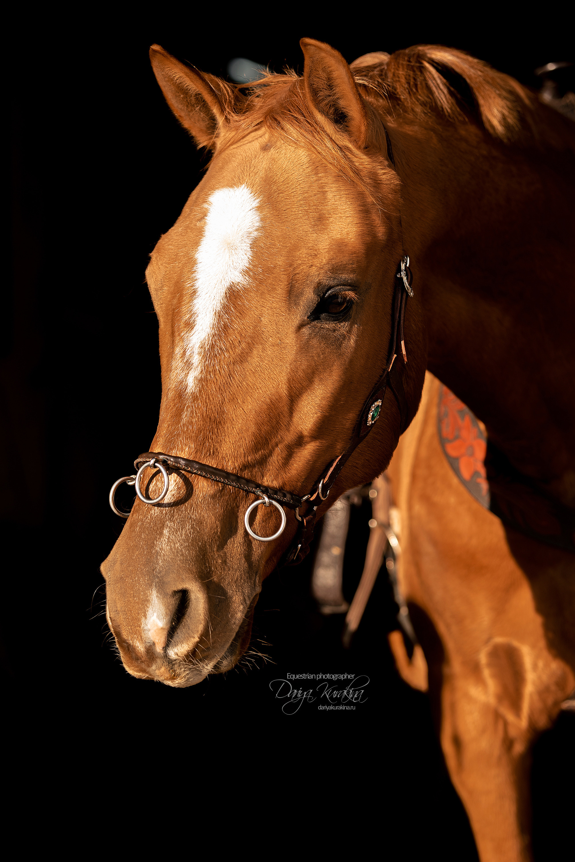 Юля, Маша и Барабан. Конный фотограф Куракина Дарья • Фотосессии с лошадьми