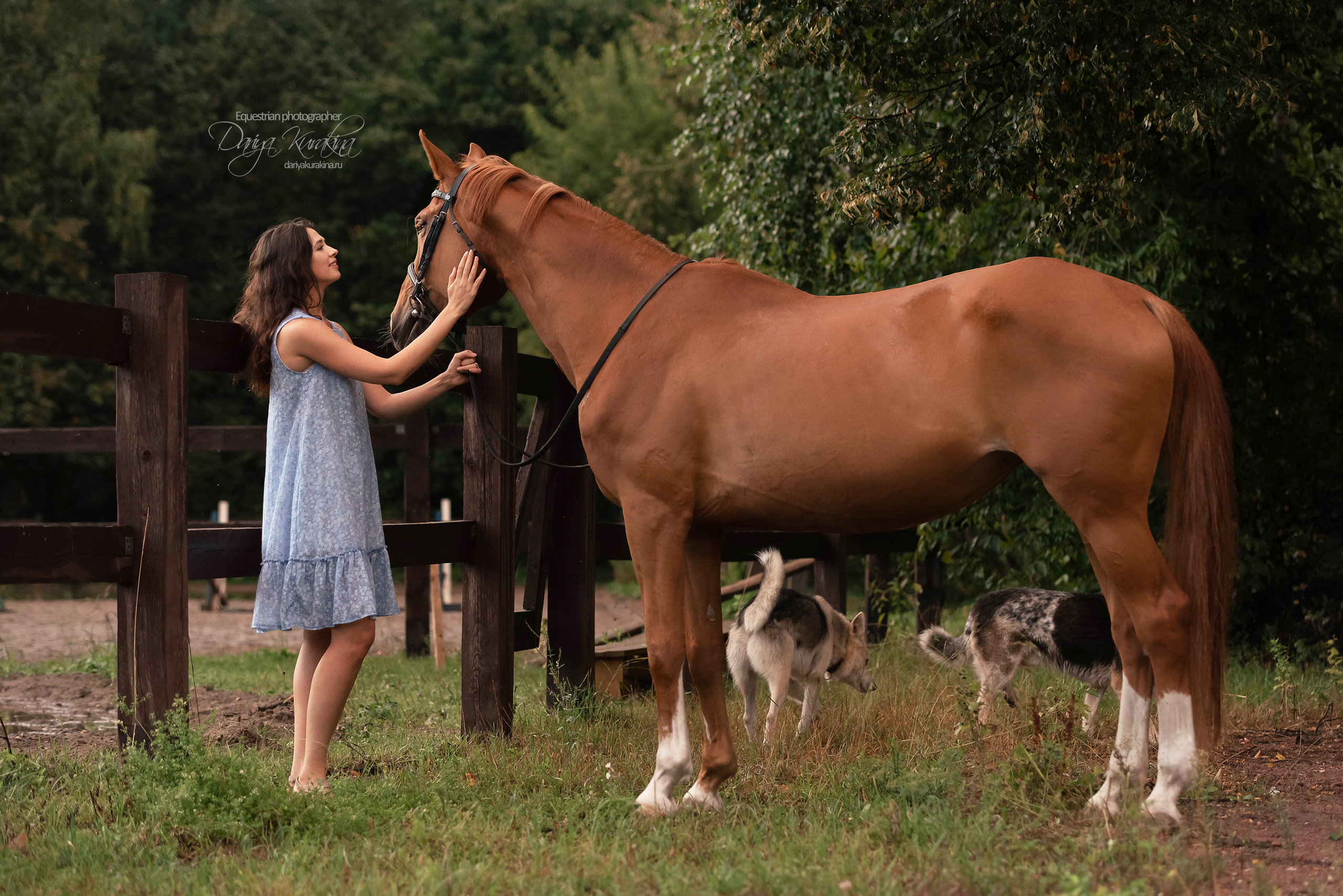 Яна и Леди. Конный фотограф Куракина Дарья • Фотосессии с лошадьми