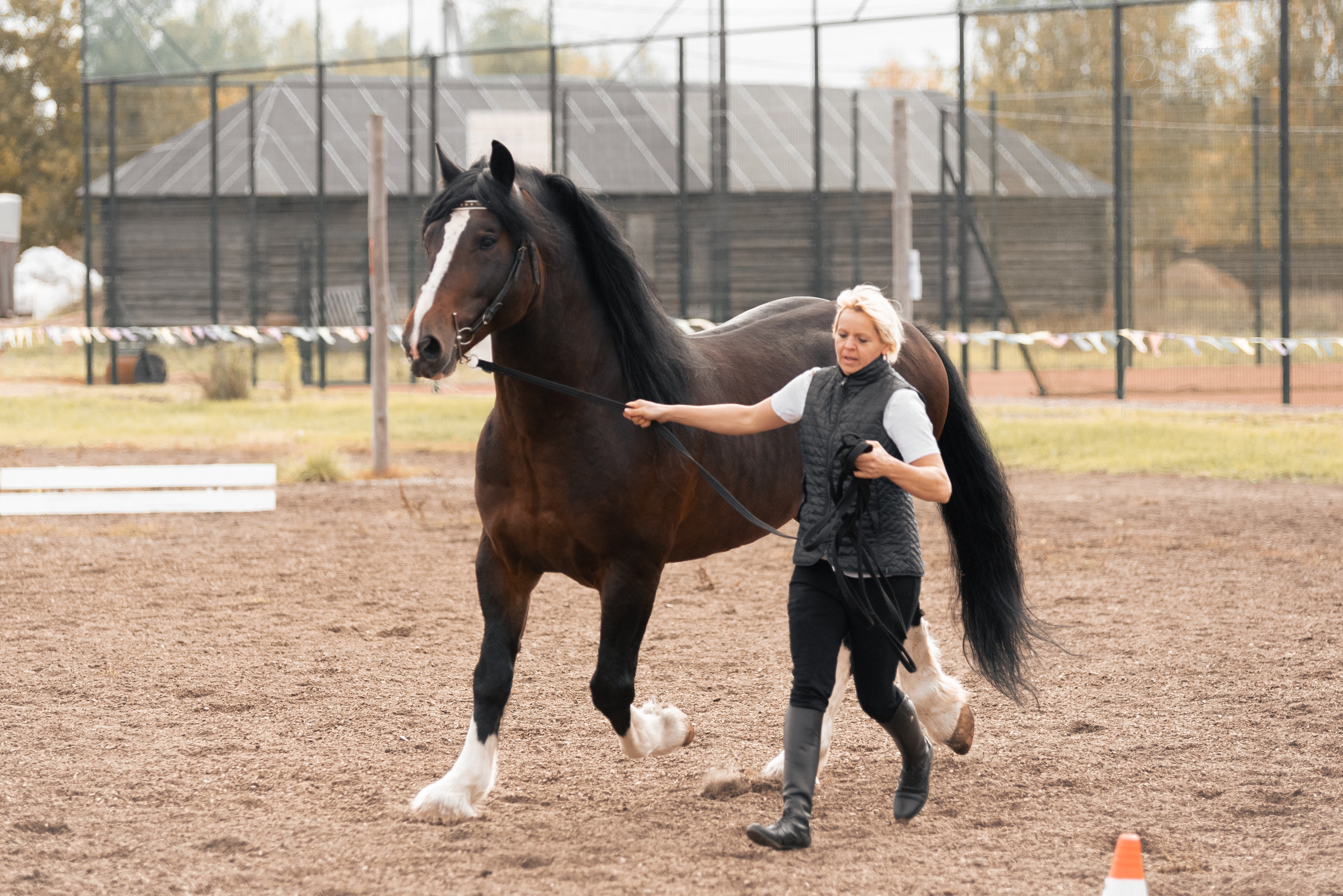 Богдарня. Конный фотограф Куракина Дарья • Фотосессии с лошадьми