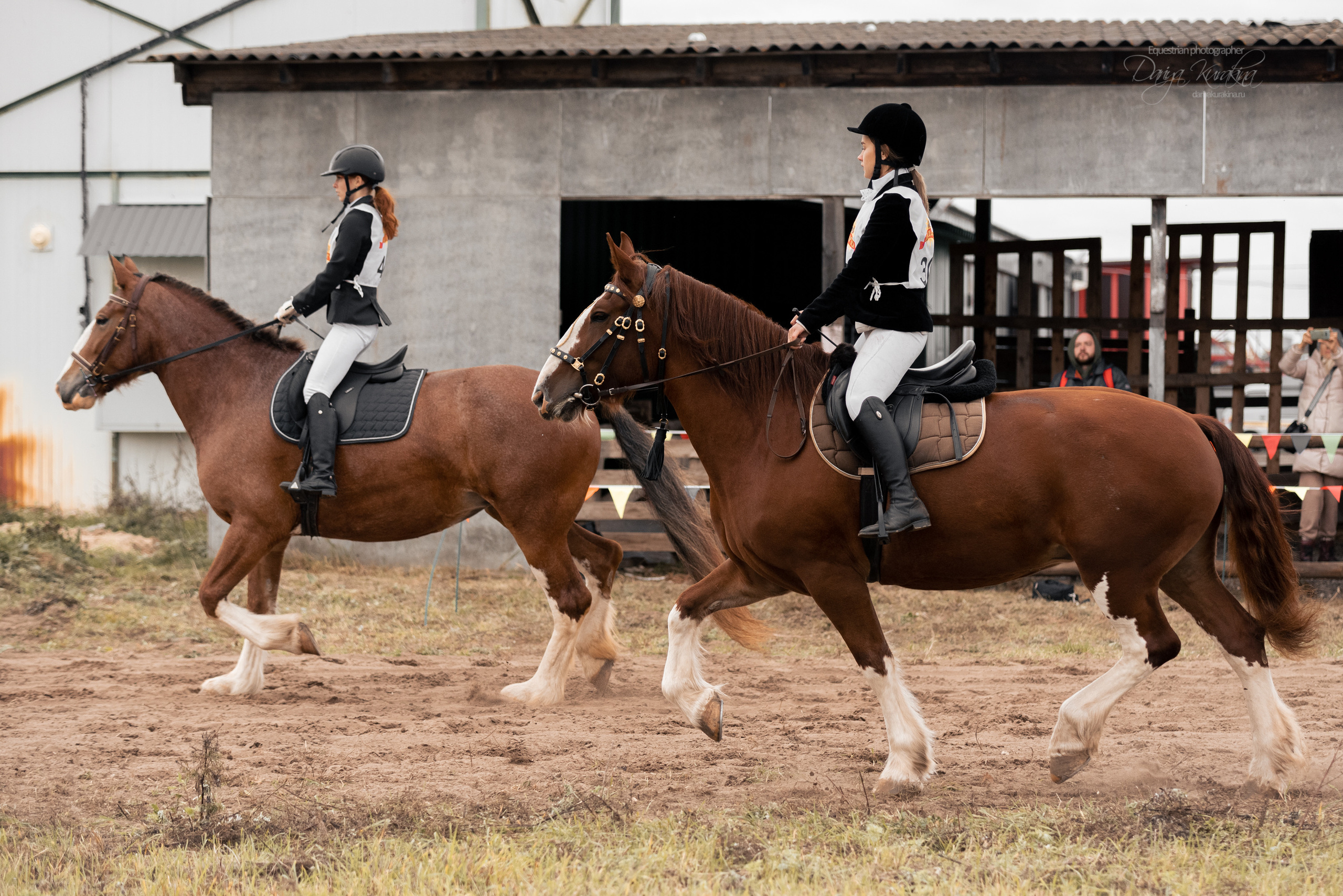 Богдарня. Конный фотограф Куракина Дарья • Фотосессии с лошадьми