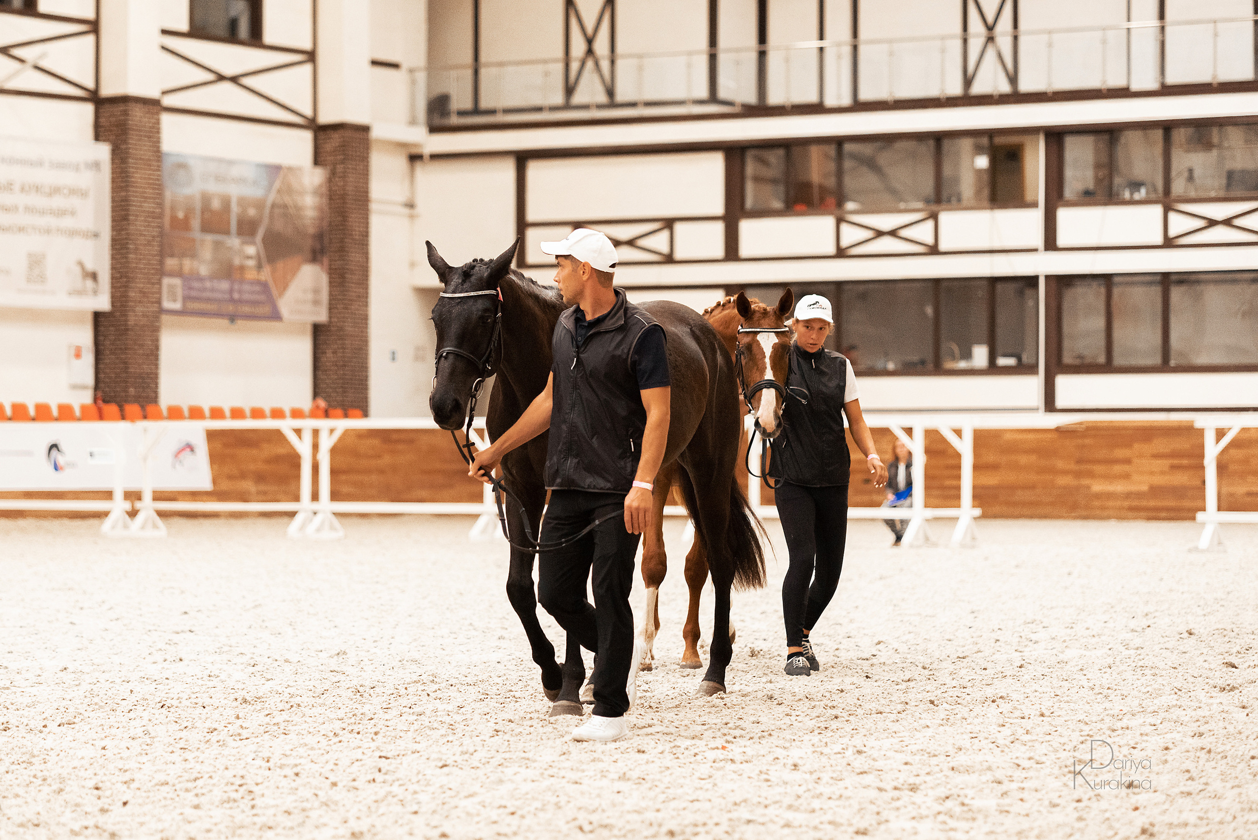 Конная Россия 2021. Конный фотограф Куракина Дарья • Фотосессии с лошадьми