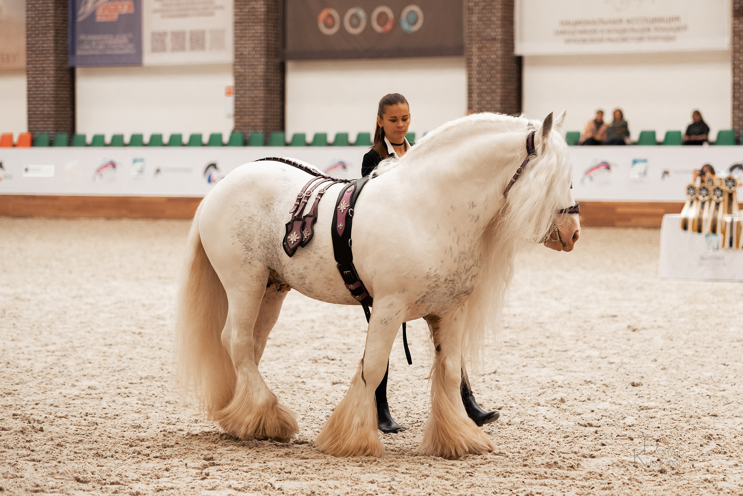 Конная Россия 2021. Конный фотограф Куракина Дарья • Фотосессии с лошадьми