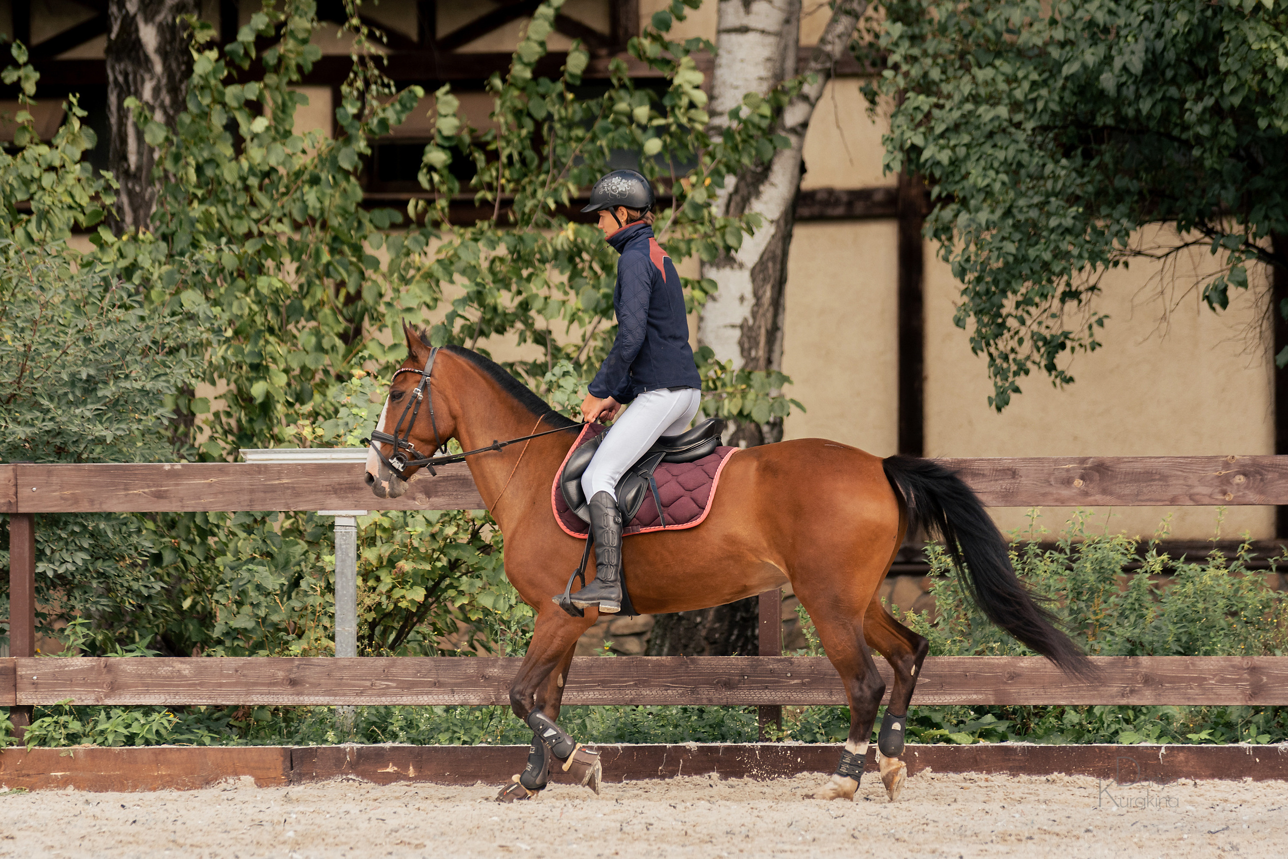 КСК Белая Дача, конкур. Конный фотограф Куракина Дарья • Фотосессии с лошадьми
