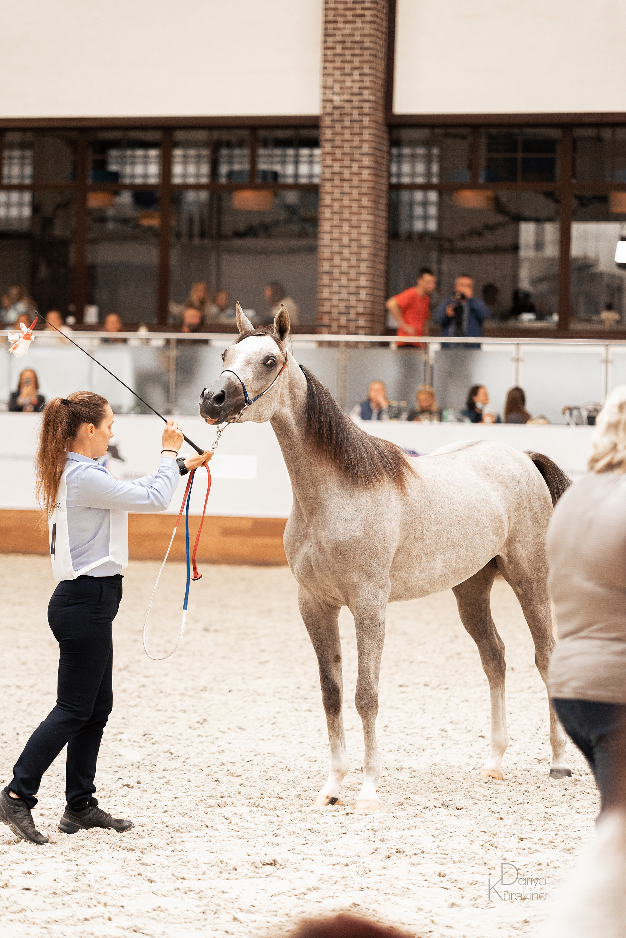 Конная Россия 2021. Конный фотограф Куракина Дарья • Фотосессии с лошадьми