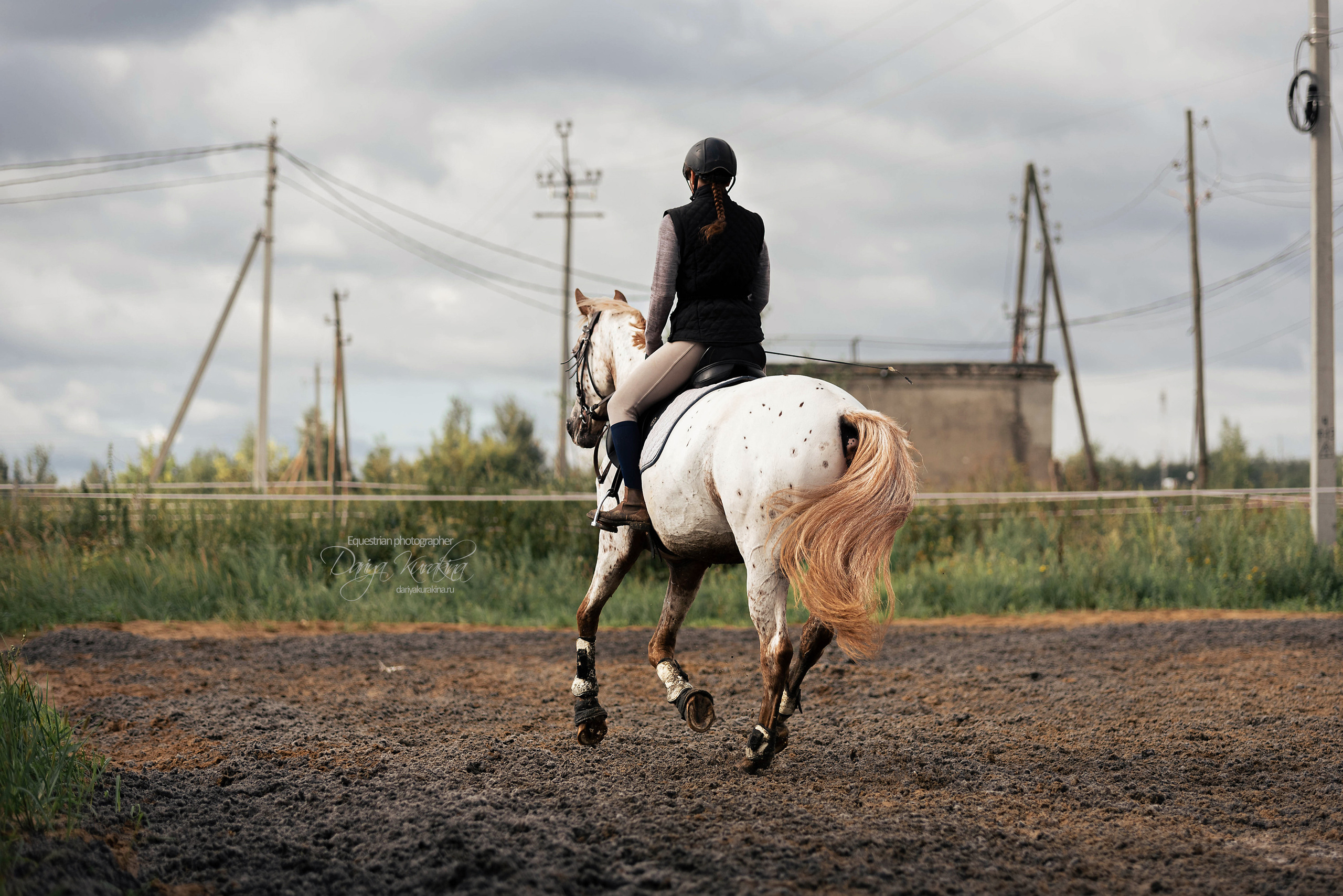 Кнабы. Конный фотограф Куракина Дарья • Фотосессии с лошадьми