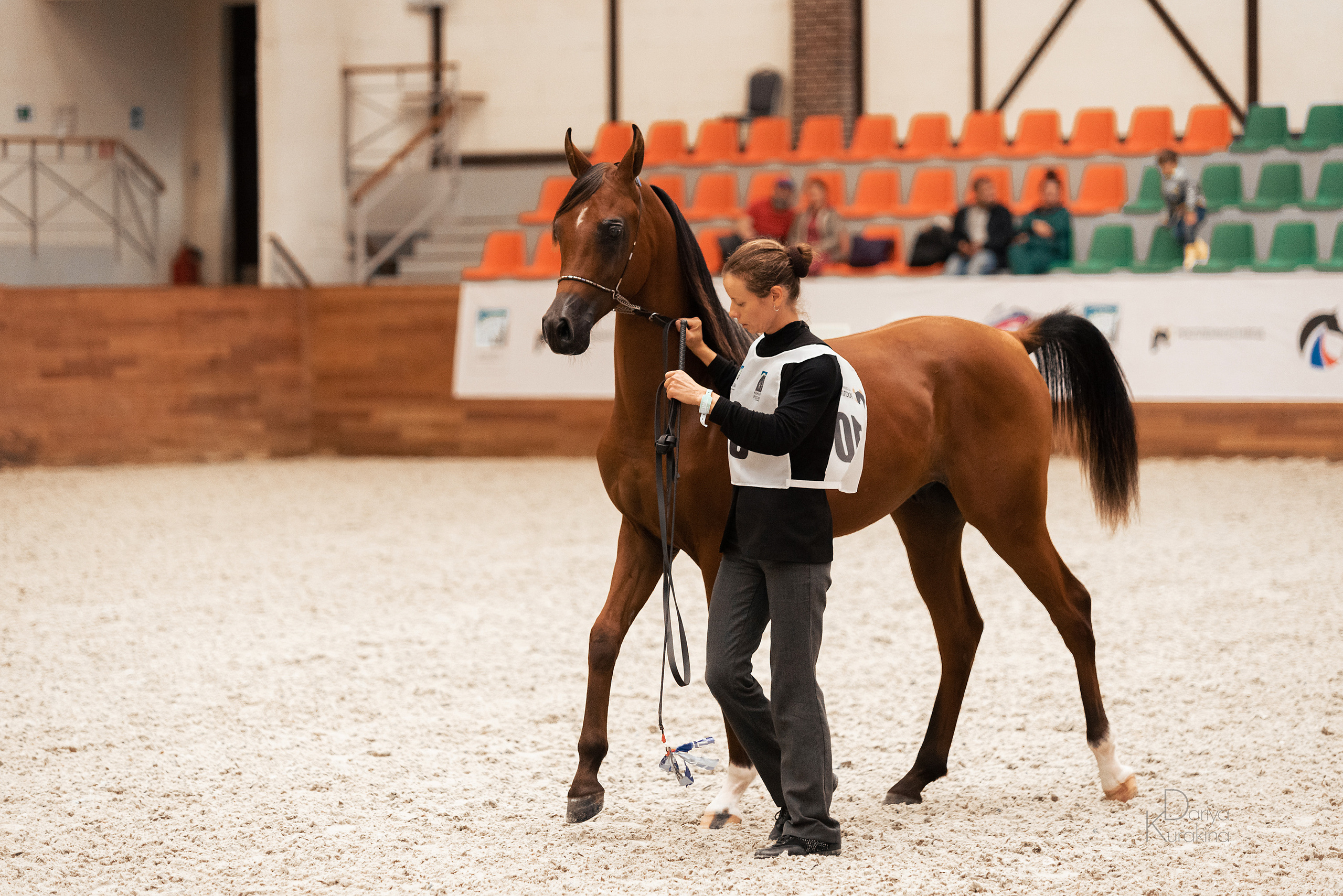 Конная Россия 2021. Конный фотограф Куракина Дарья • Фотосессии с лошадьми