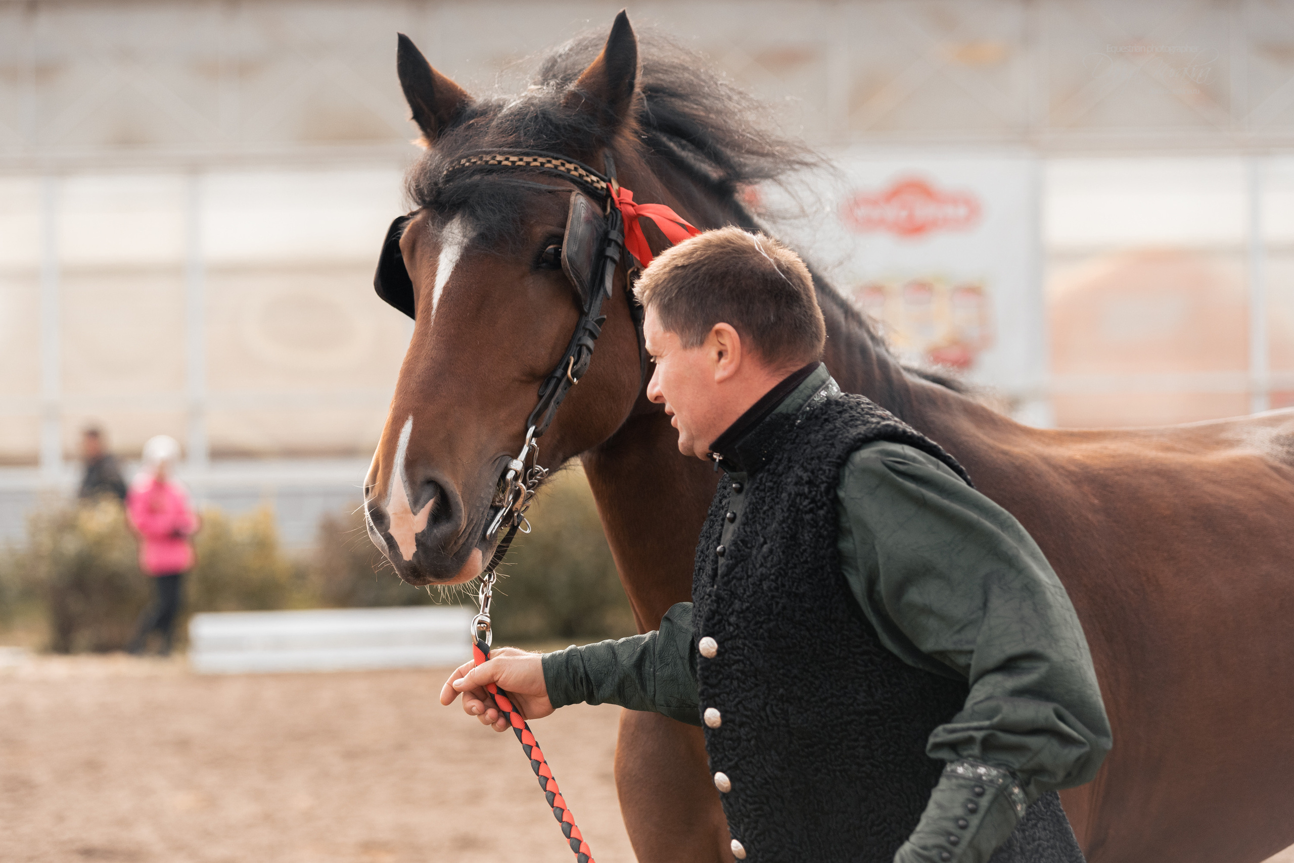 Богдарня. Конный фотограф Куракина Дарья • Фотосессии с лошадьми