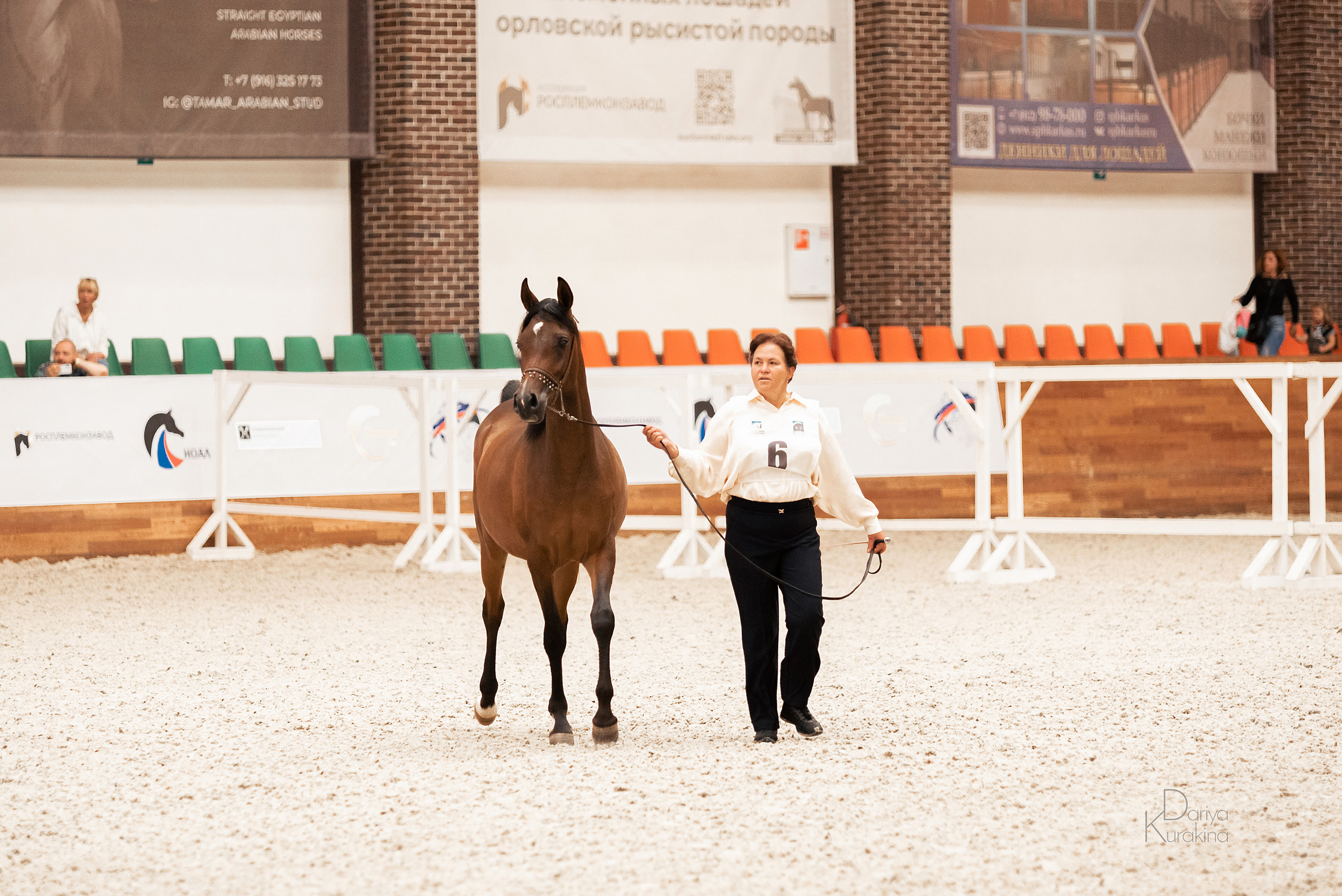 Конная Россия 2021. Конный фотограф Куракина Дарья • Фотосессии с лошадьми