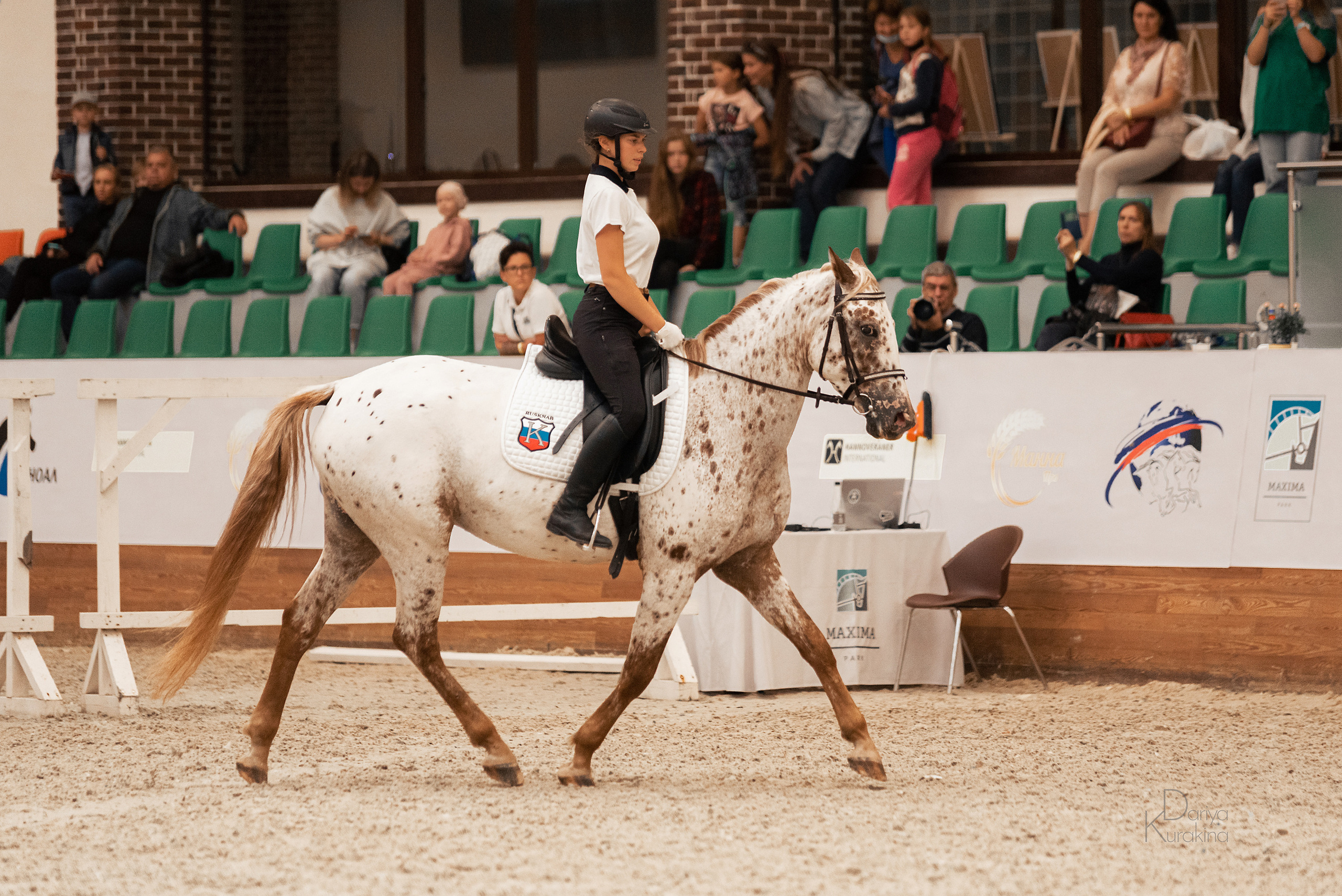 Конная Россия 2021. Конный фотограф Куракина Дарья • Фотосессии с лошадьми