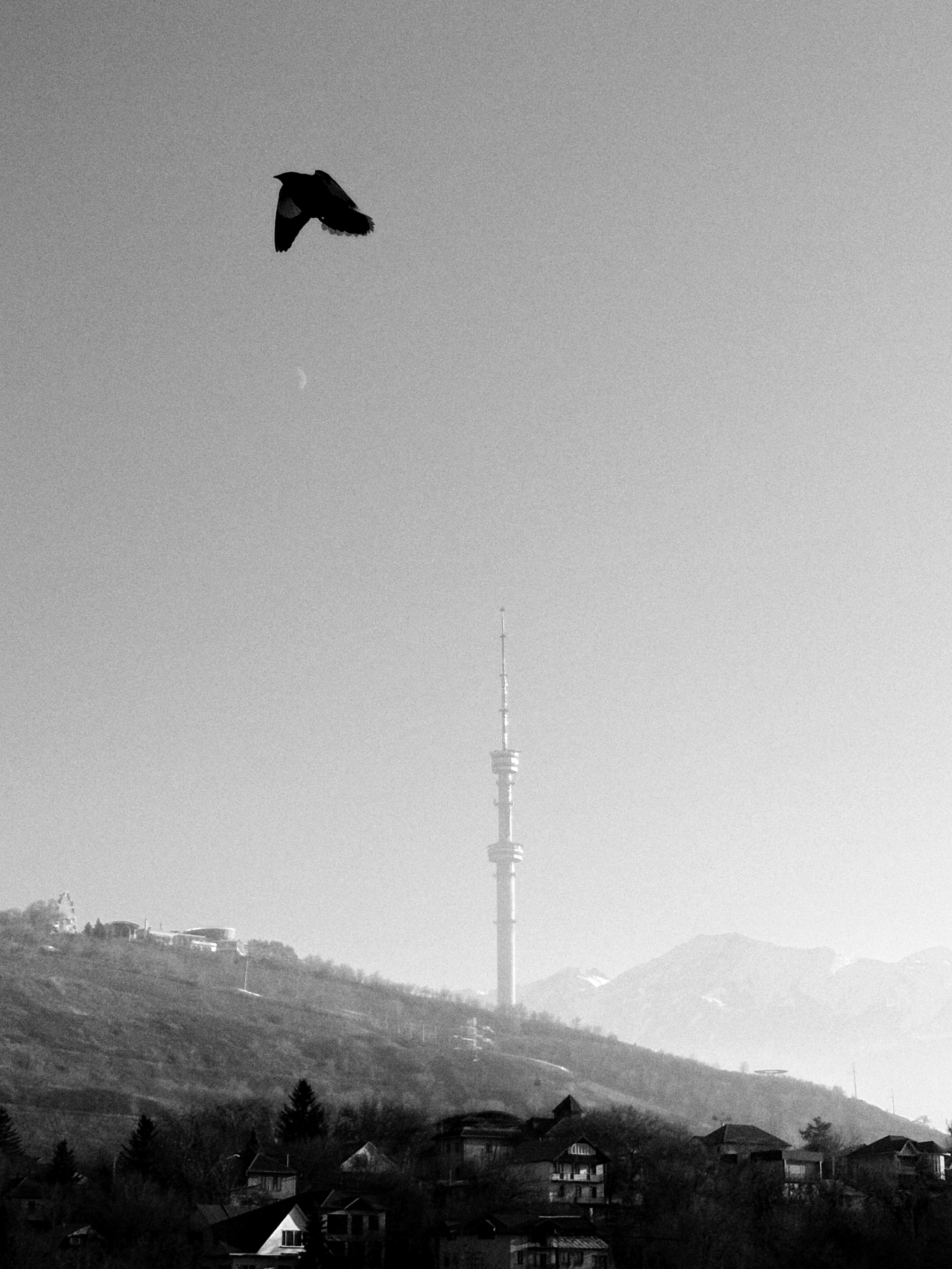 Black and white diary