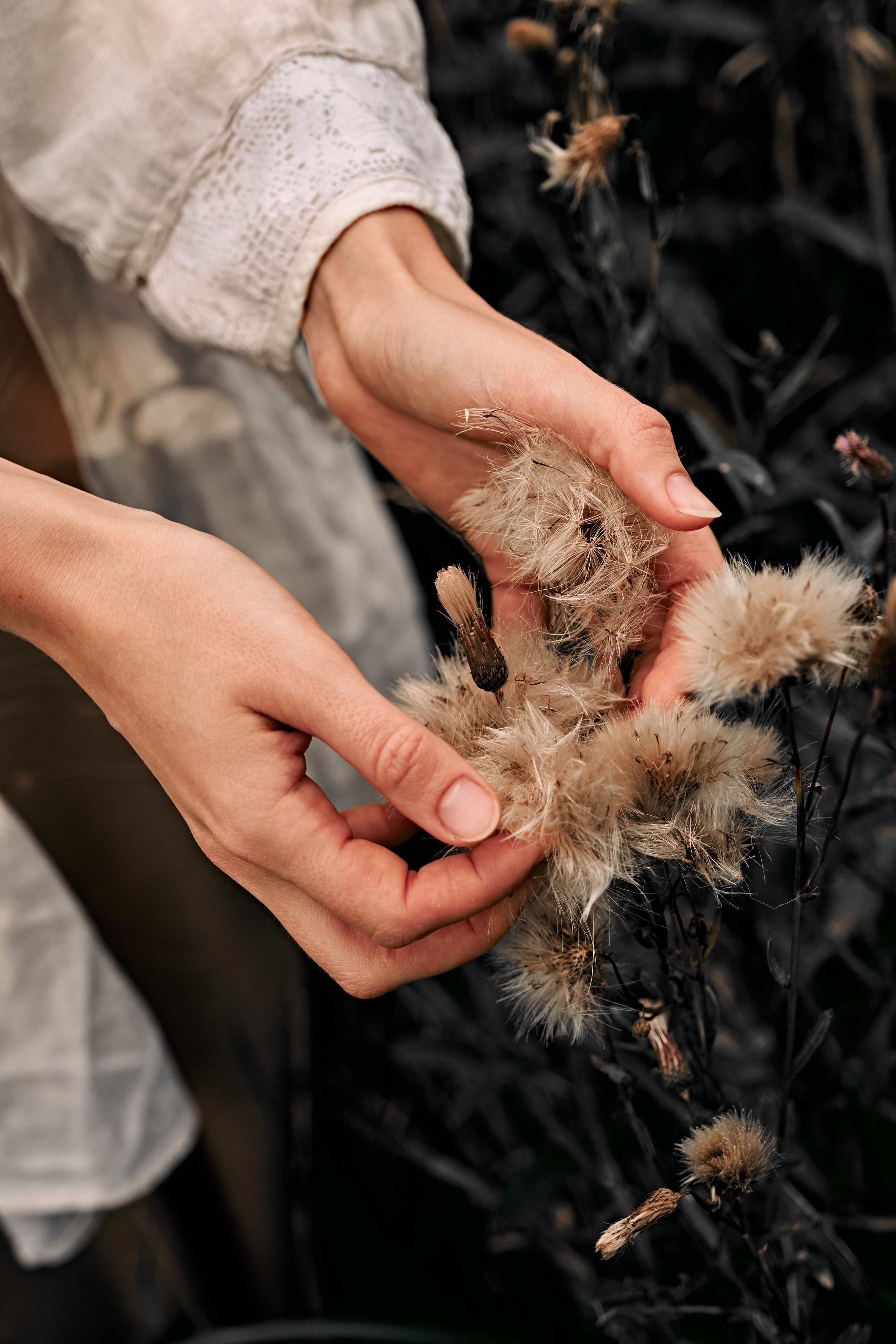 Portraits. Sia Levine Design