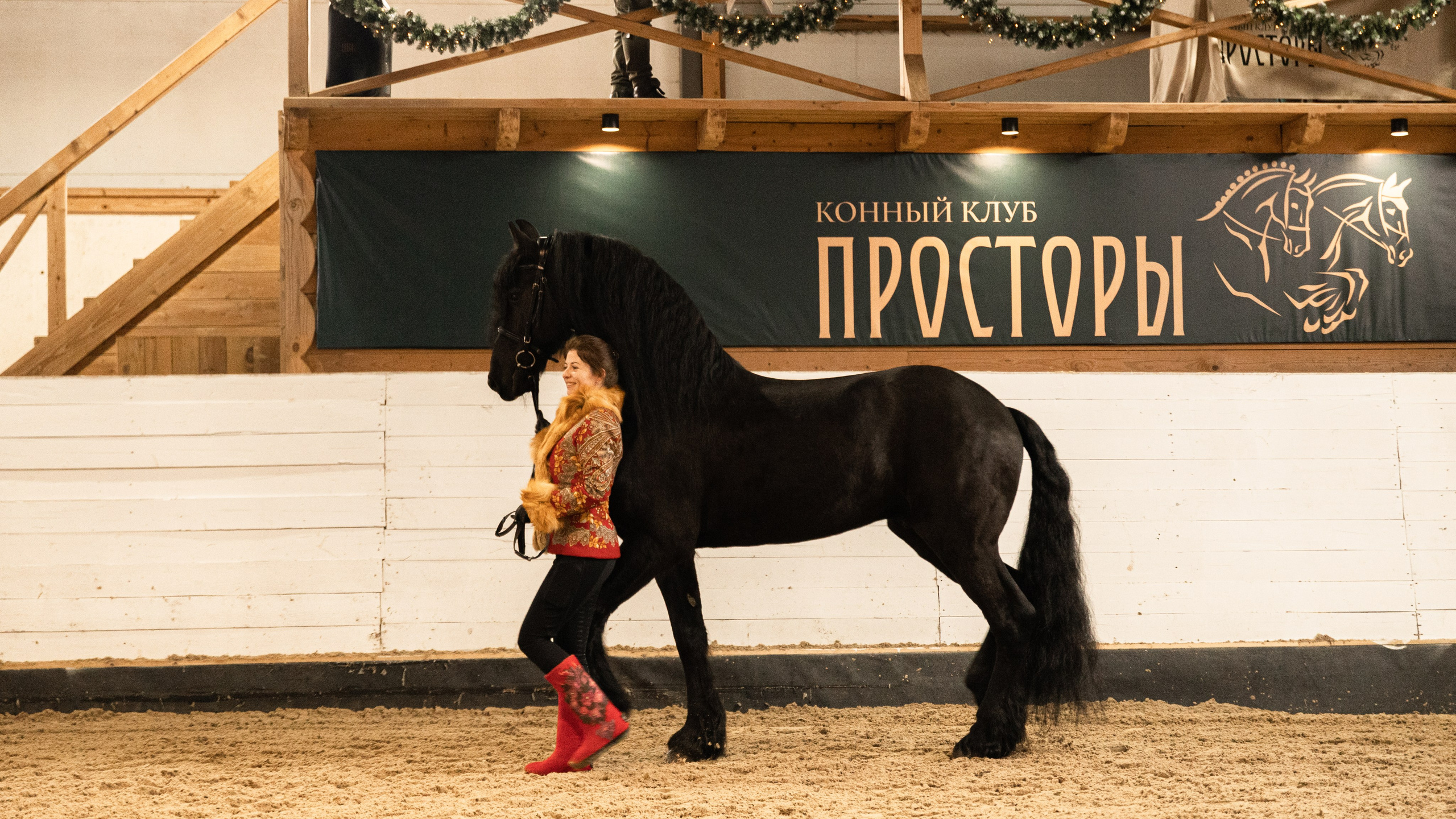 Парад пород I КК Просторы. The EVL gallery