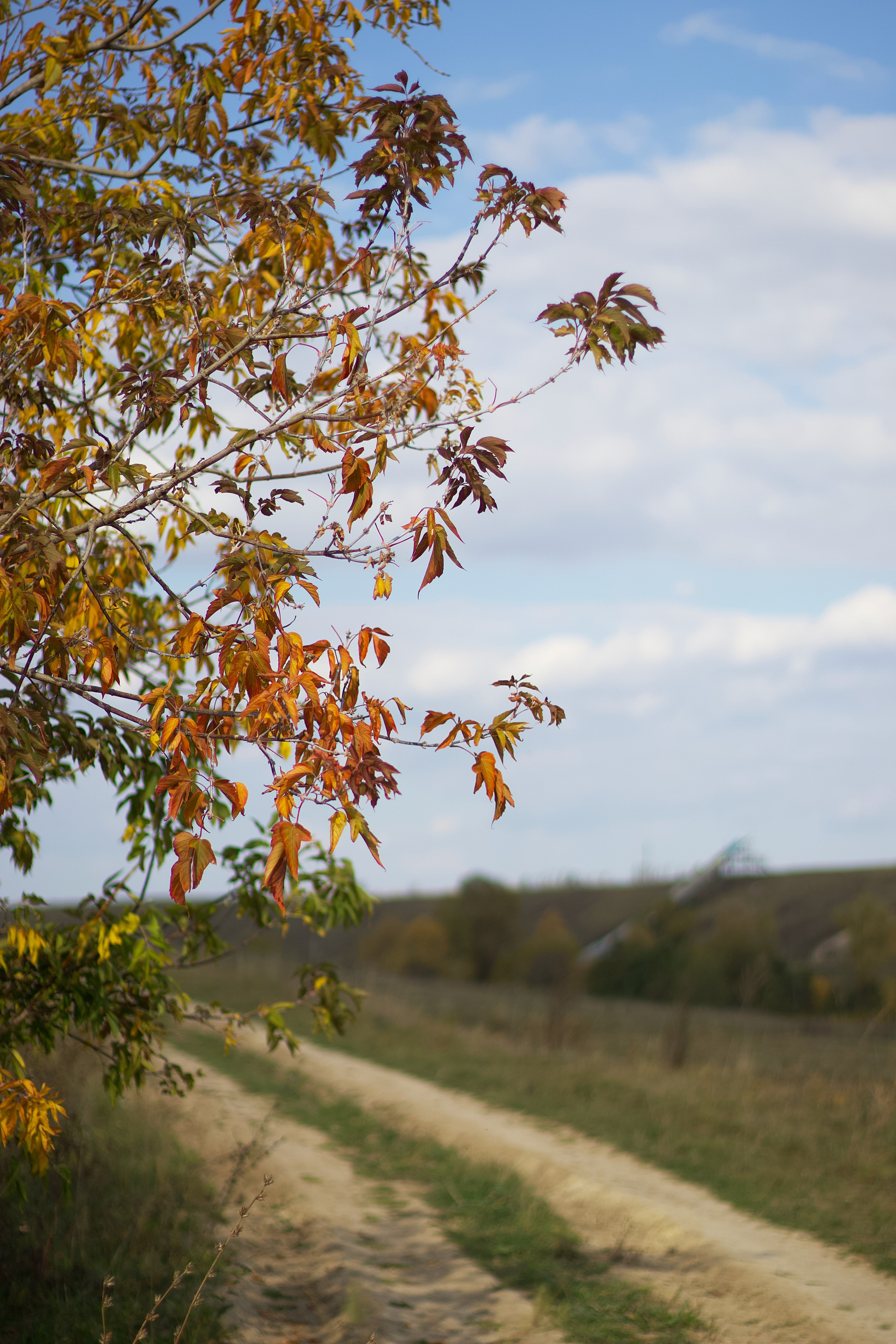 Пейзаж. Pupov.png