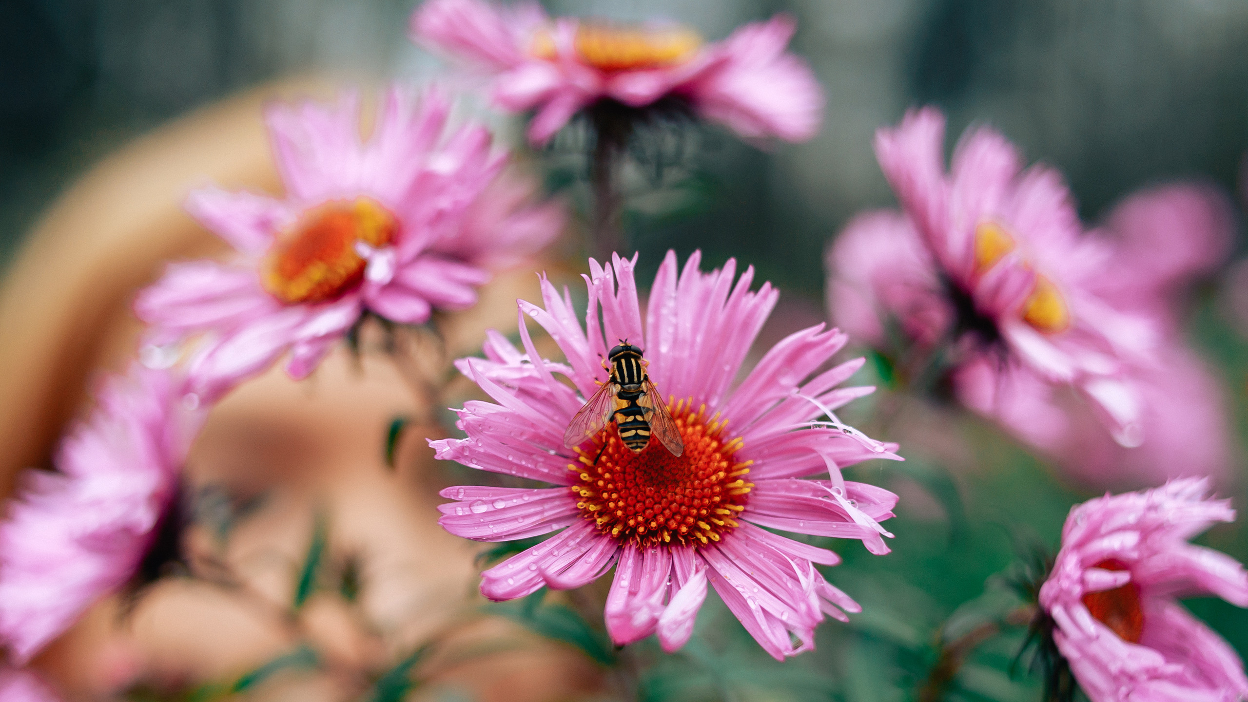 ФотограФ Ольга Игоревна | Сергиев Посад