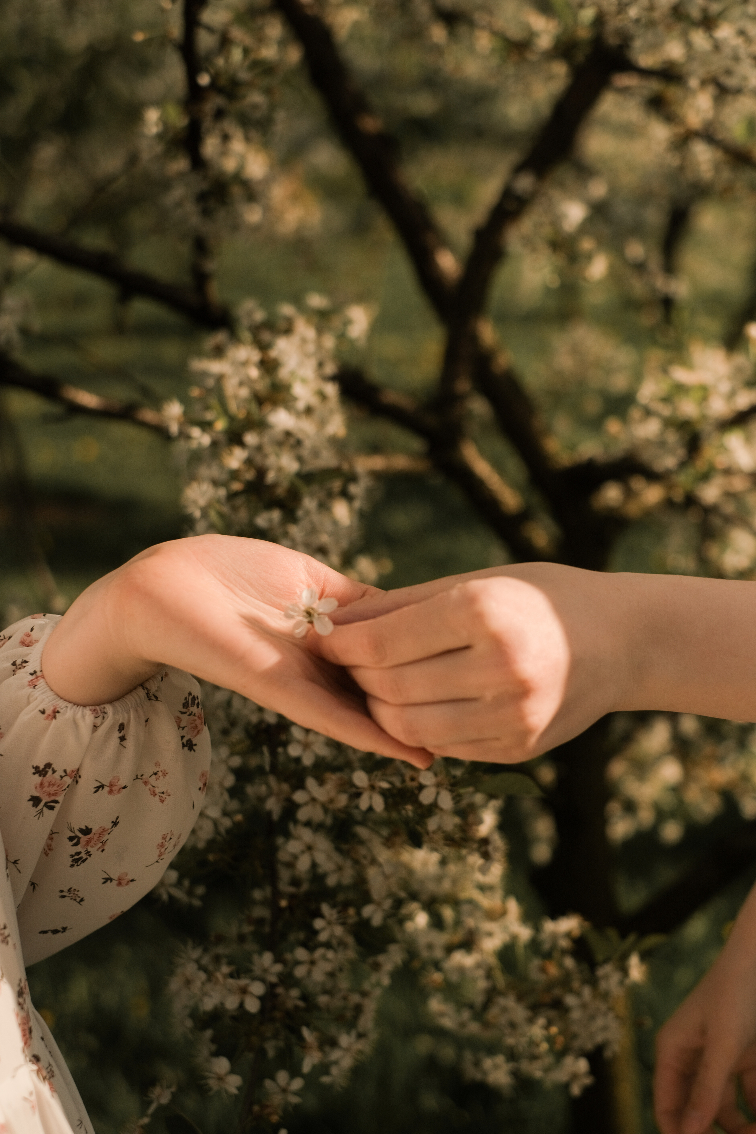 Чаепитие в саду. Свадебный и семейный фотограф в Москве Инника Кетлер