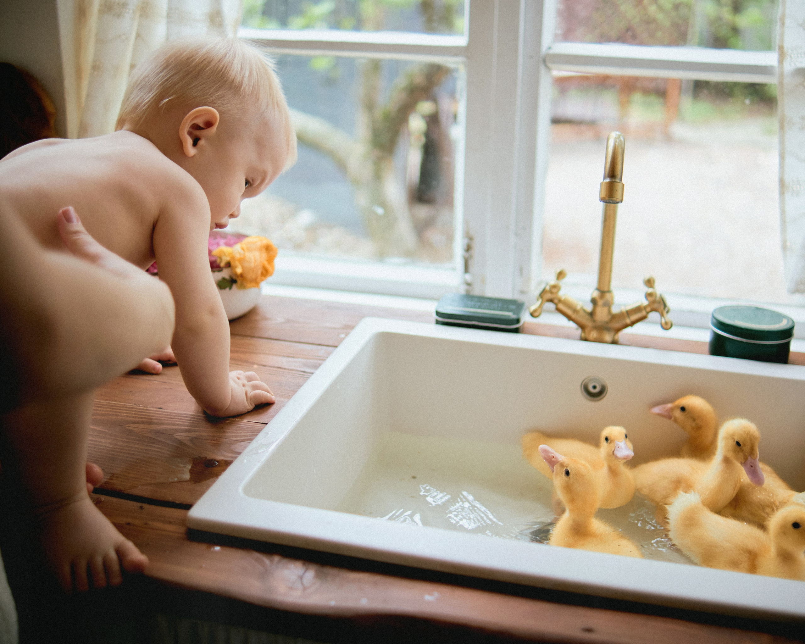 Кирюша. SHILOVA PHOTO. Шилова Екатерина. Фотограф. Москва