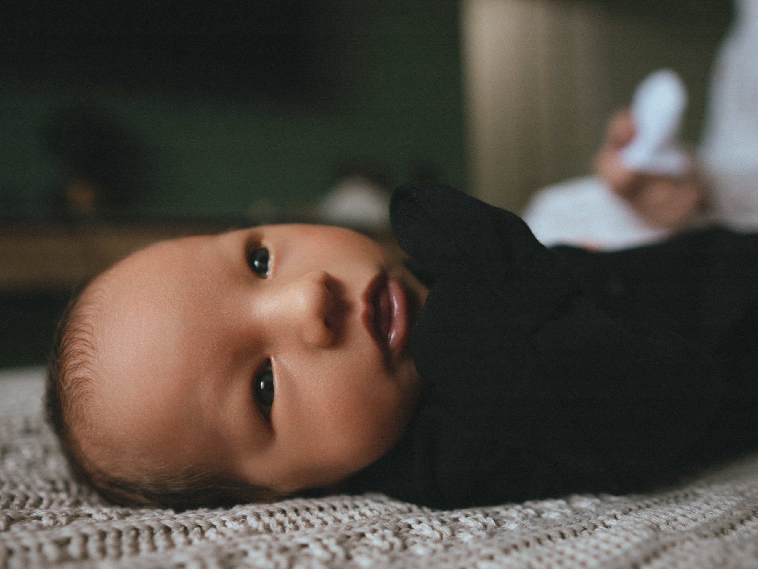 Мироша. SHILOVA PHOTO. Шилова Екатерина. Фотограф. Москва