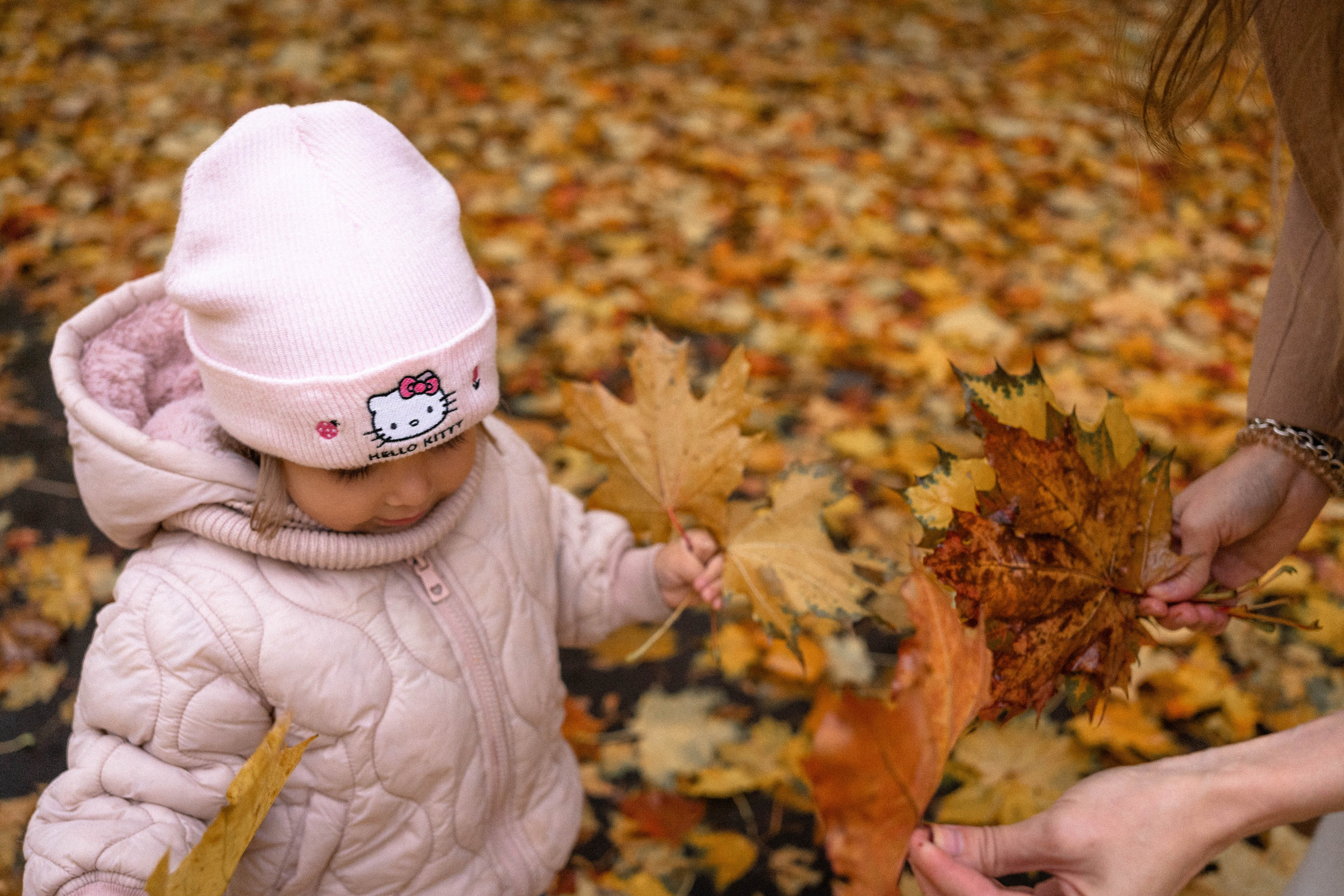 Осенняя фотосессия в Москве (во дворе дома)). Фотограф на роды Москва. Фотограф новорожденных Москва
