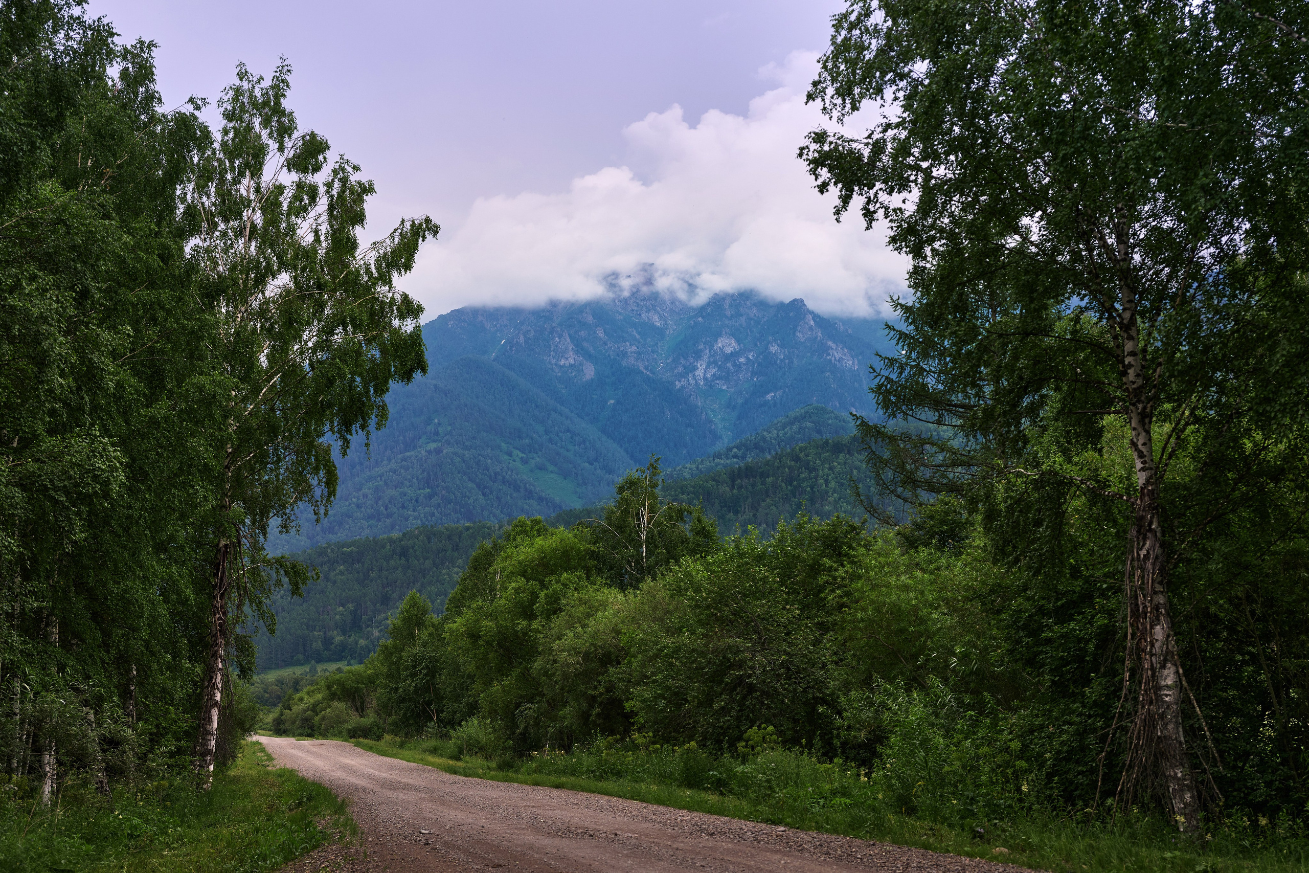 Пейзажный фотограф в Горном Алтае: съёмки природы и гор. Фотограф Опыт Качество Скорость Горный Алтай Барнаул
