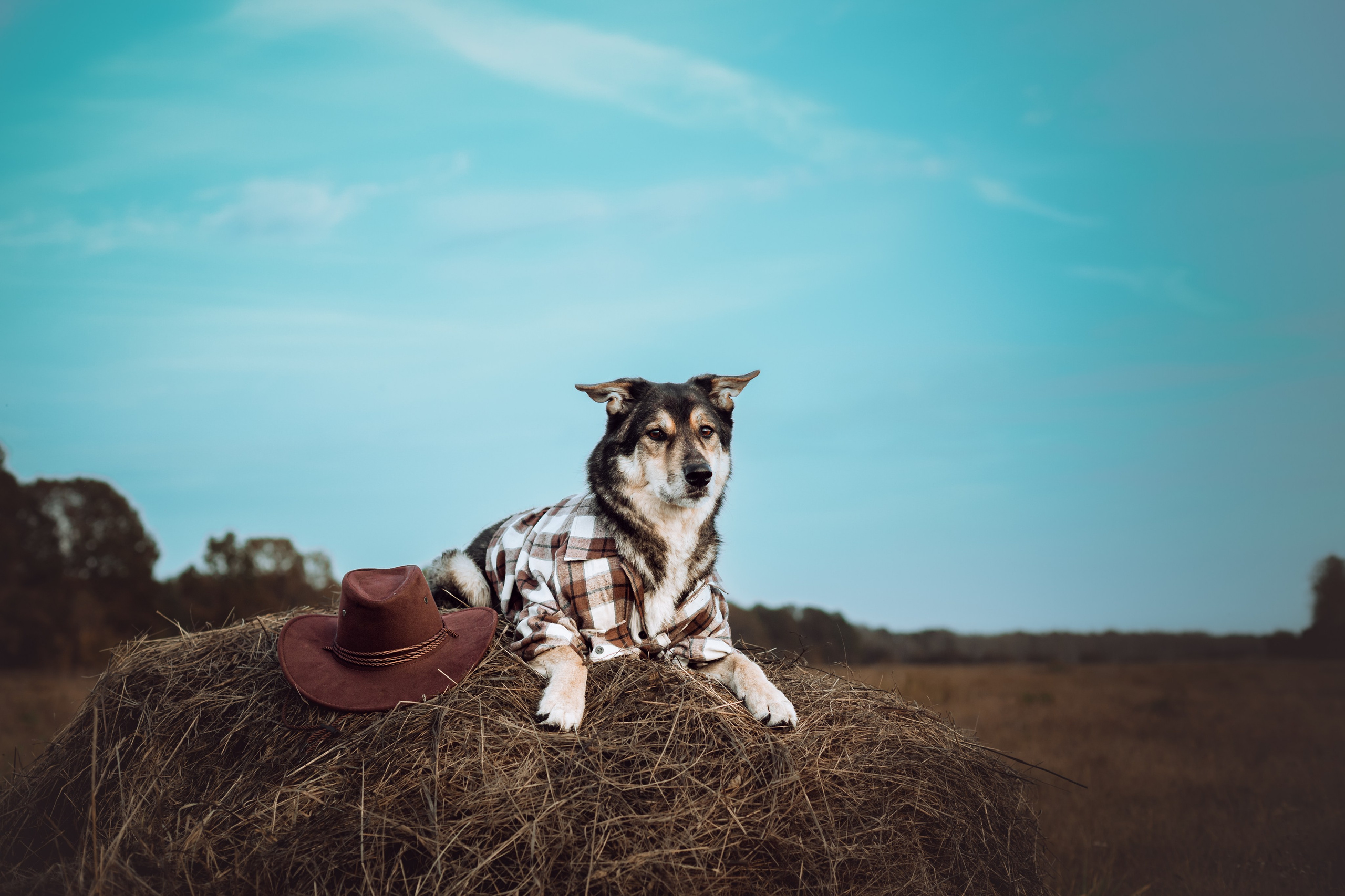 Кантри Дюк. Фотограф-анималист Татьяна Степанова