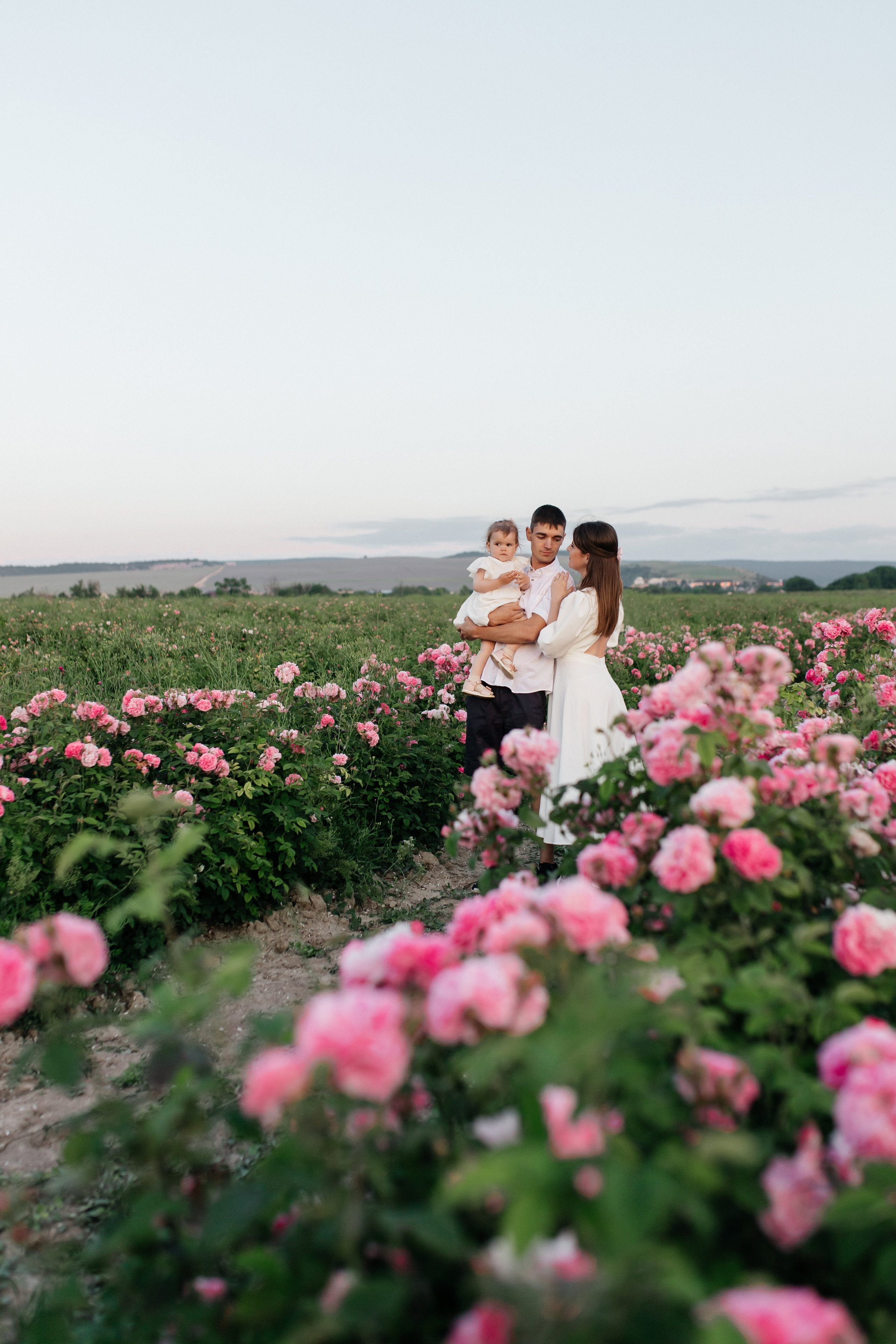 Rose. ФОТОГРАФ