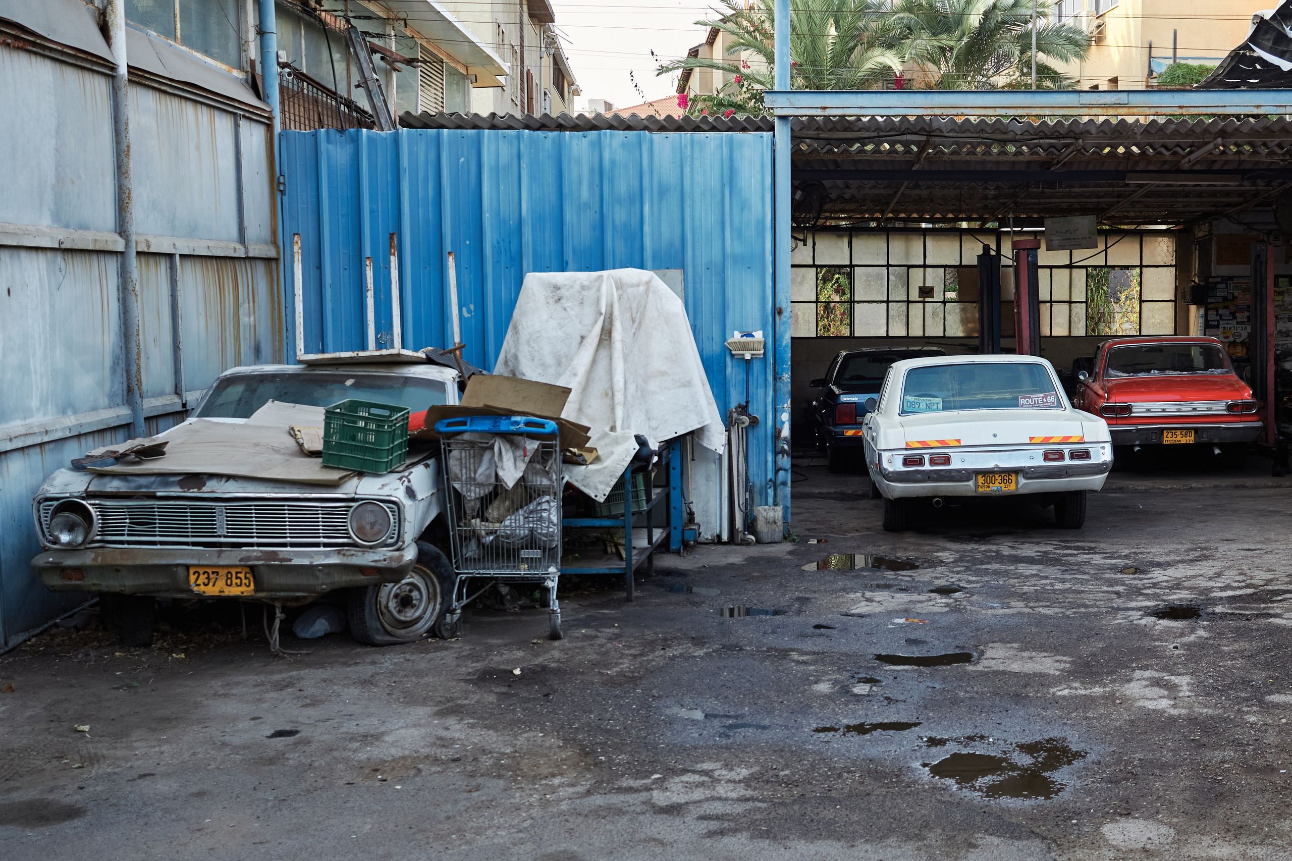 Фотографии Тель-Авива | Филипп Линзин. Репортажный и портретный фотограф в Санкт-Петербурге Филипп Линзин