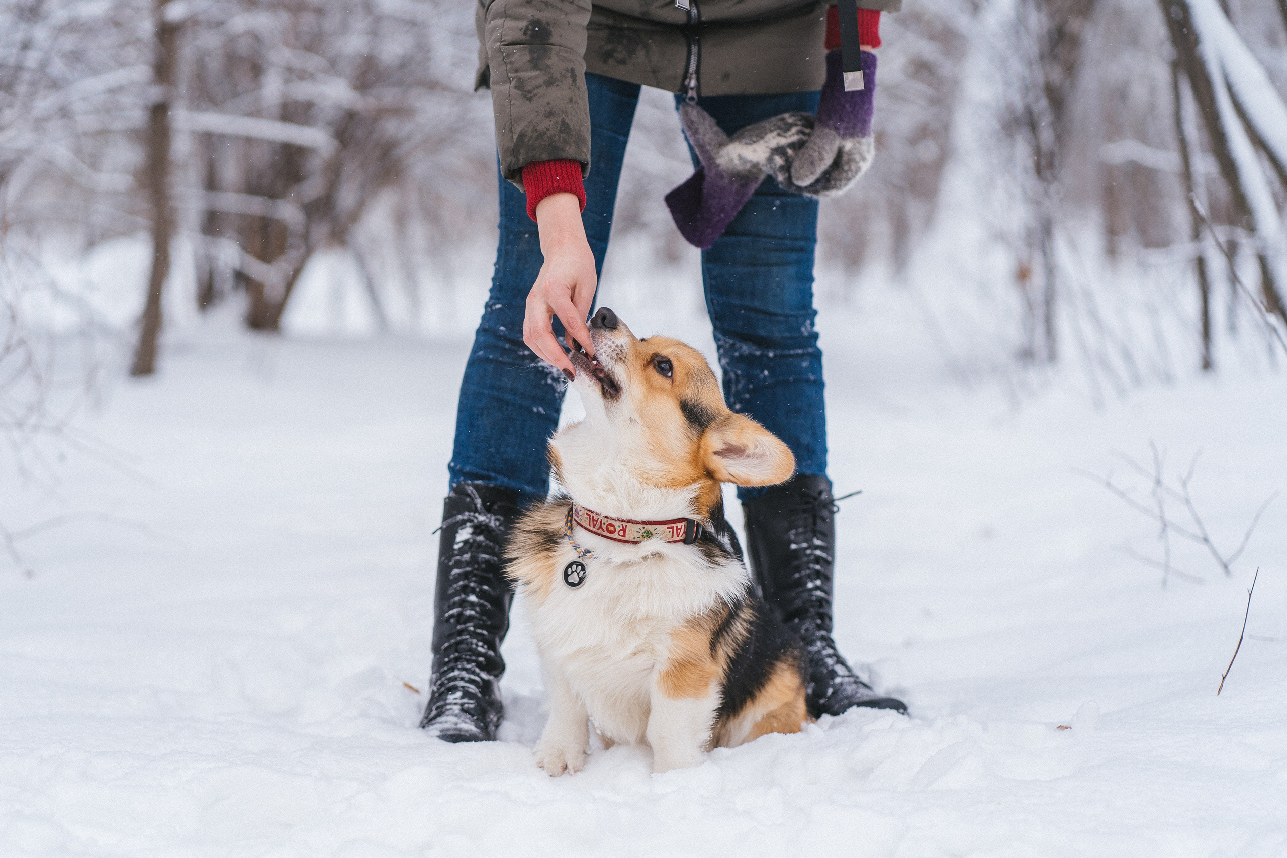 Каспер и Полина. Свадебный фотограф в Москве Анна Полушина
