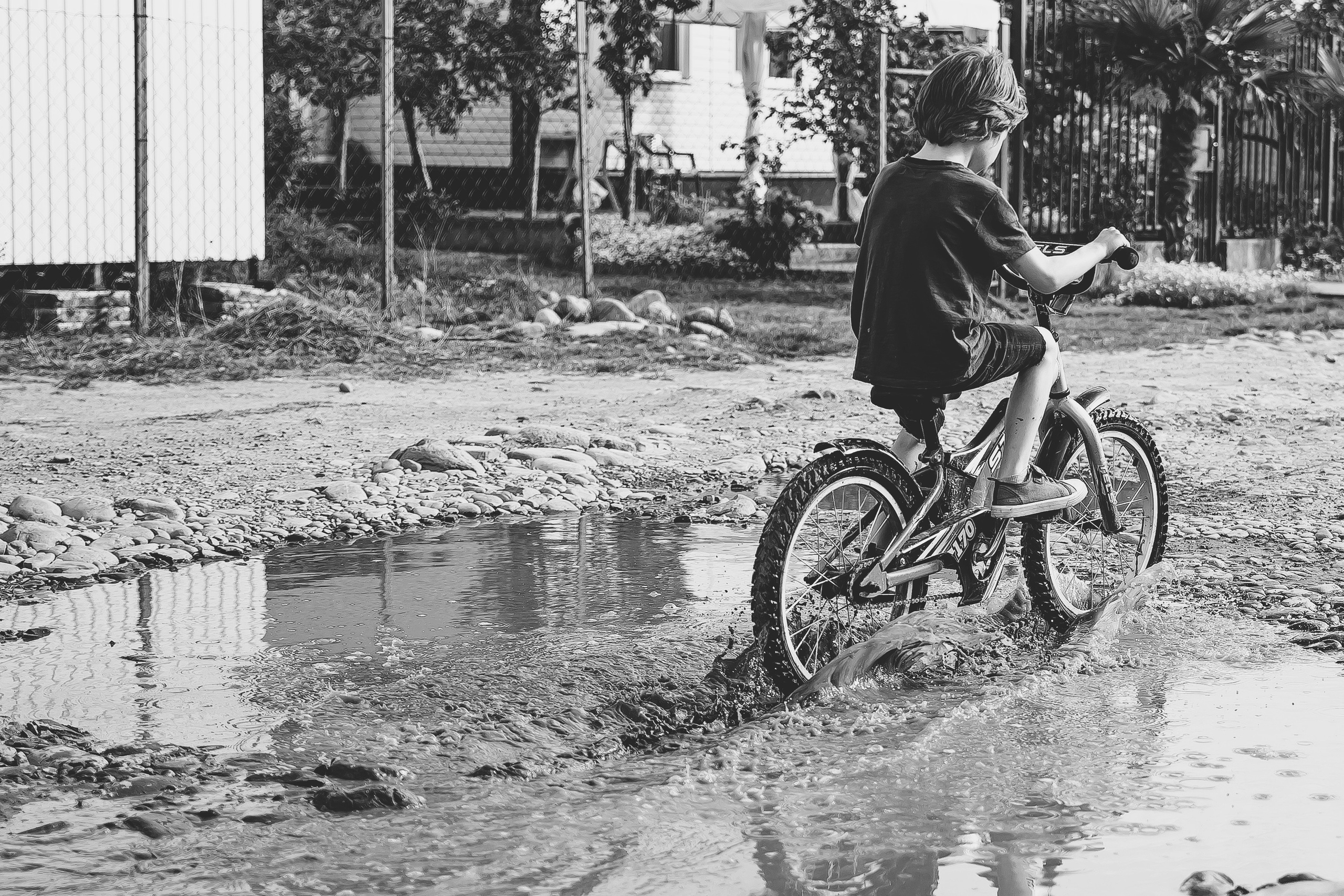 Тарас. Май 2025. Свадебный и семейный фотограф Колоскова Мария (Сочи и весь мир)