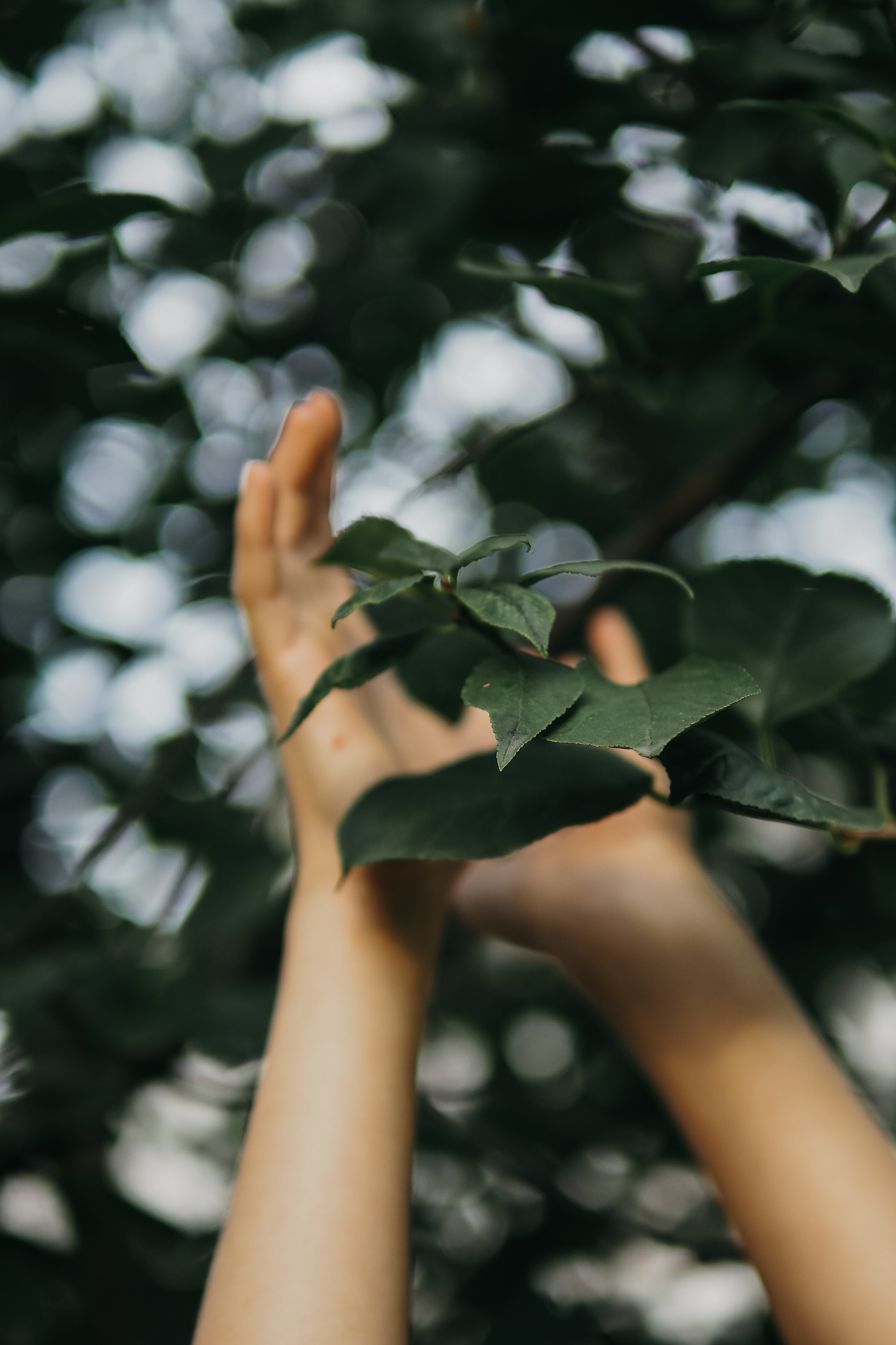 Цветная. Портретный фотограф Павлова Светлана / Брянск /