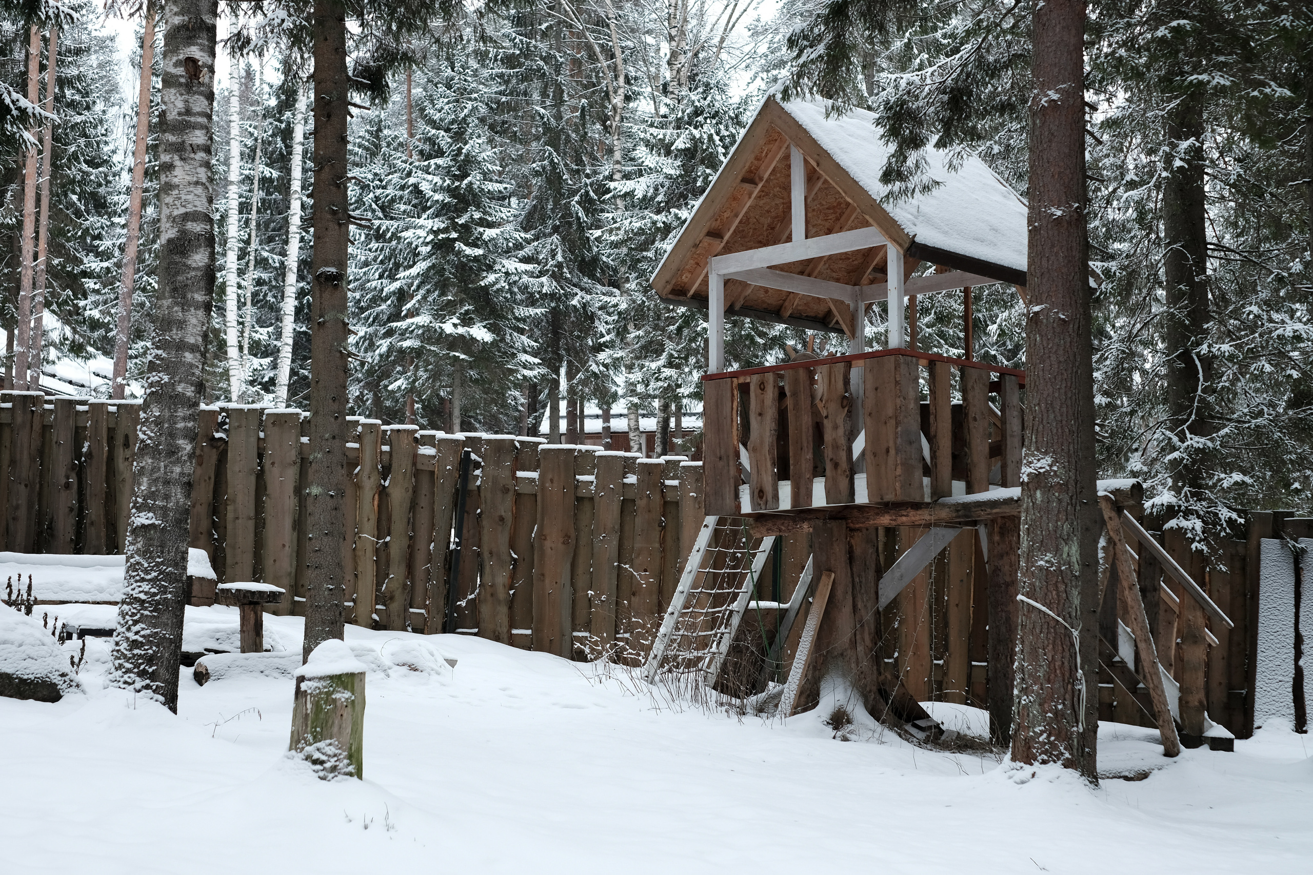 Пешковы. Фотограф в Санкт-Петербурге и Карелии