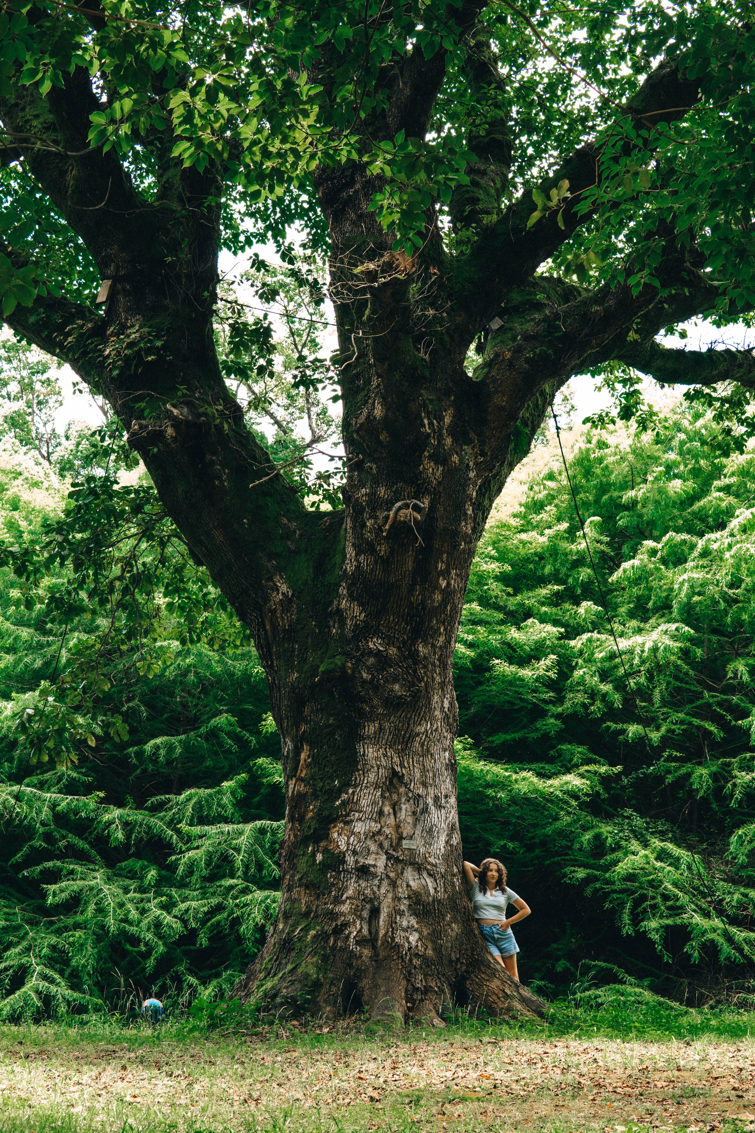 Индивидуальная. Свадебный и семейный фотограф Иваново
