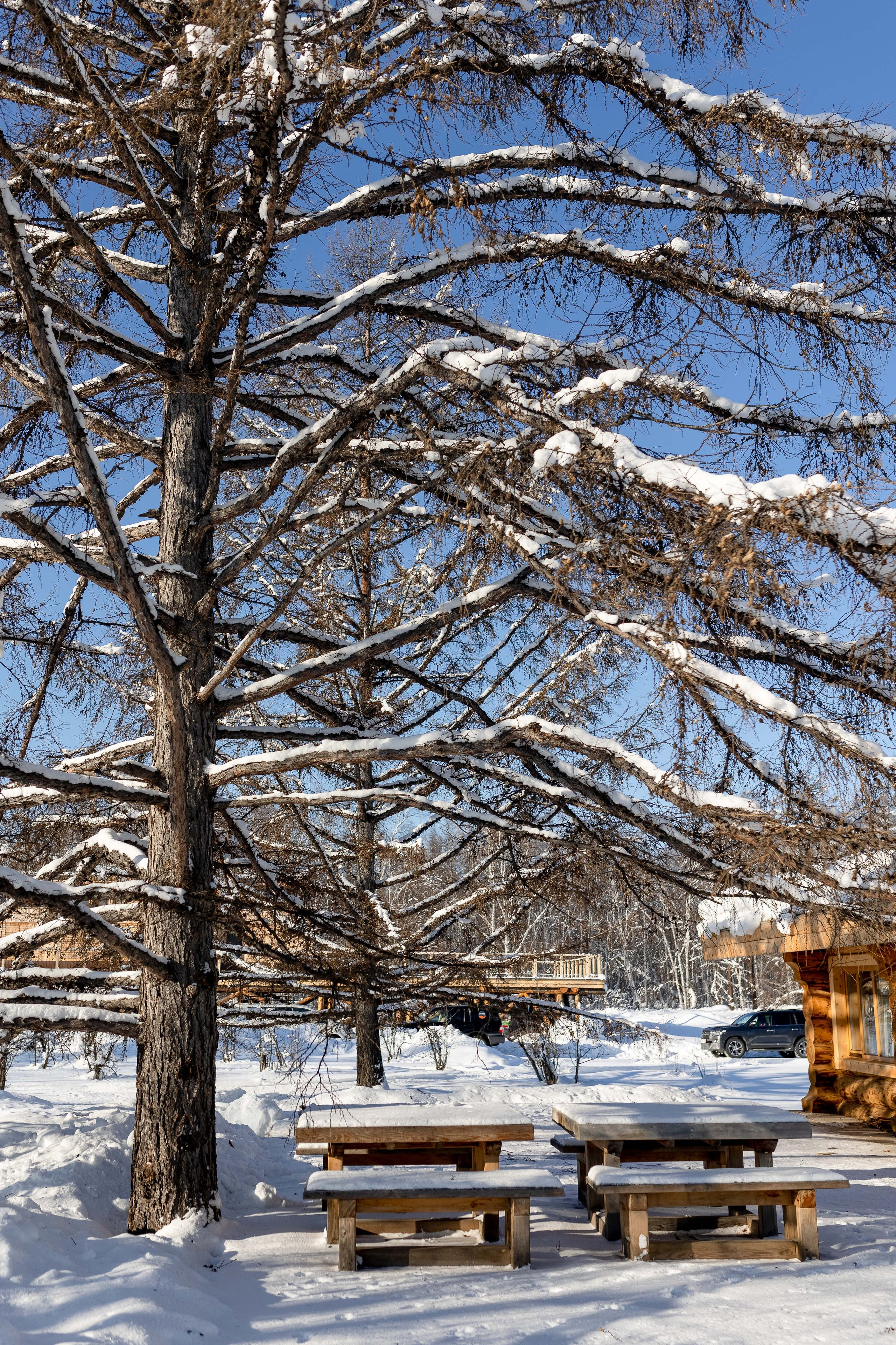 Баня. Главная