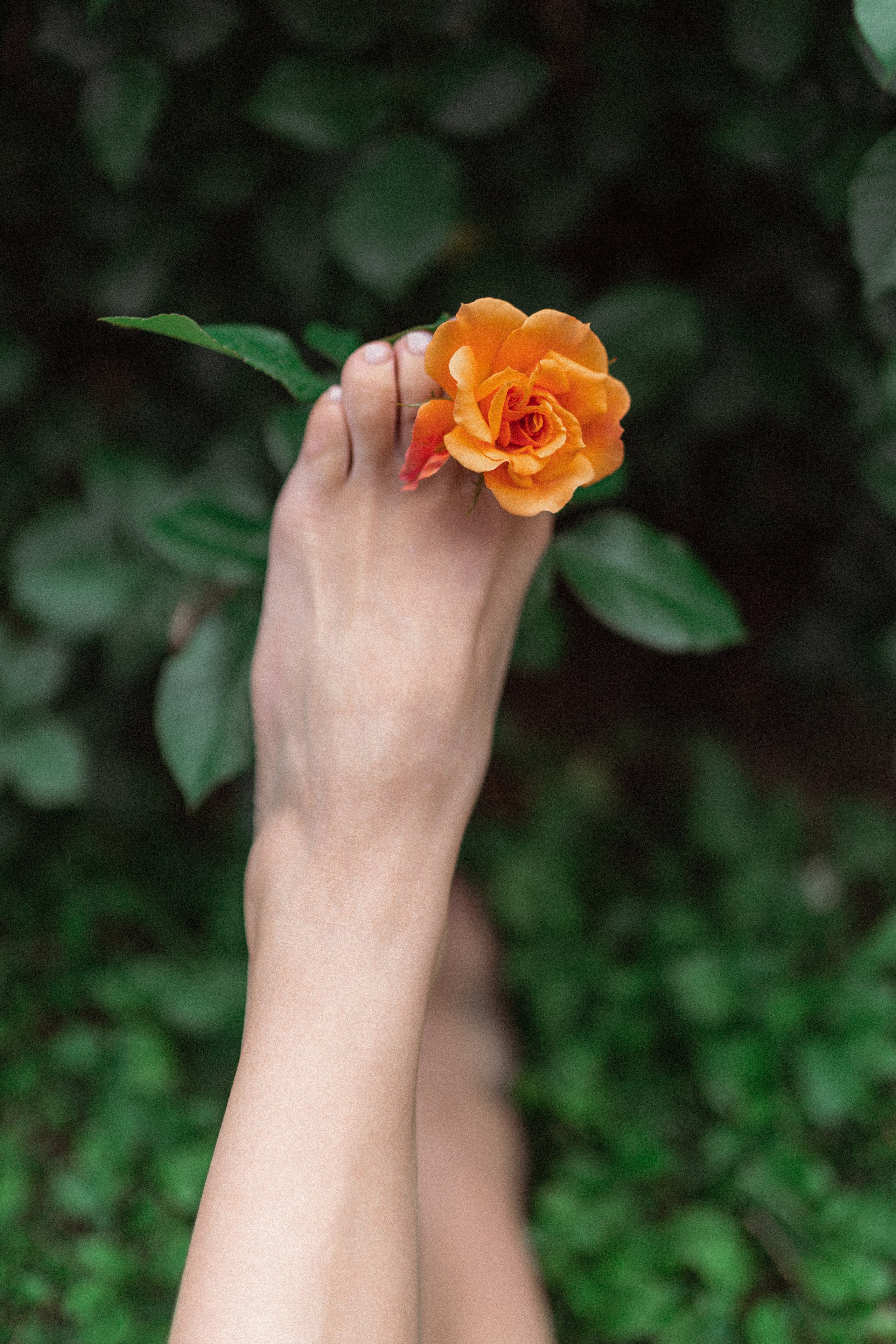 Парк. Фотограф Мария Зайчик