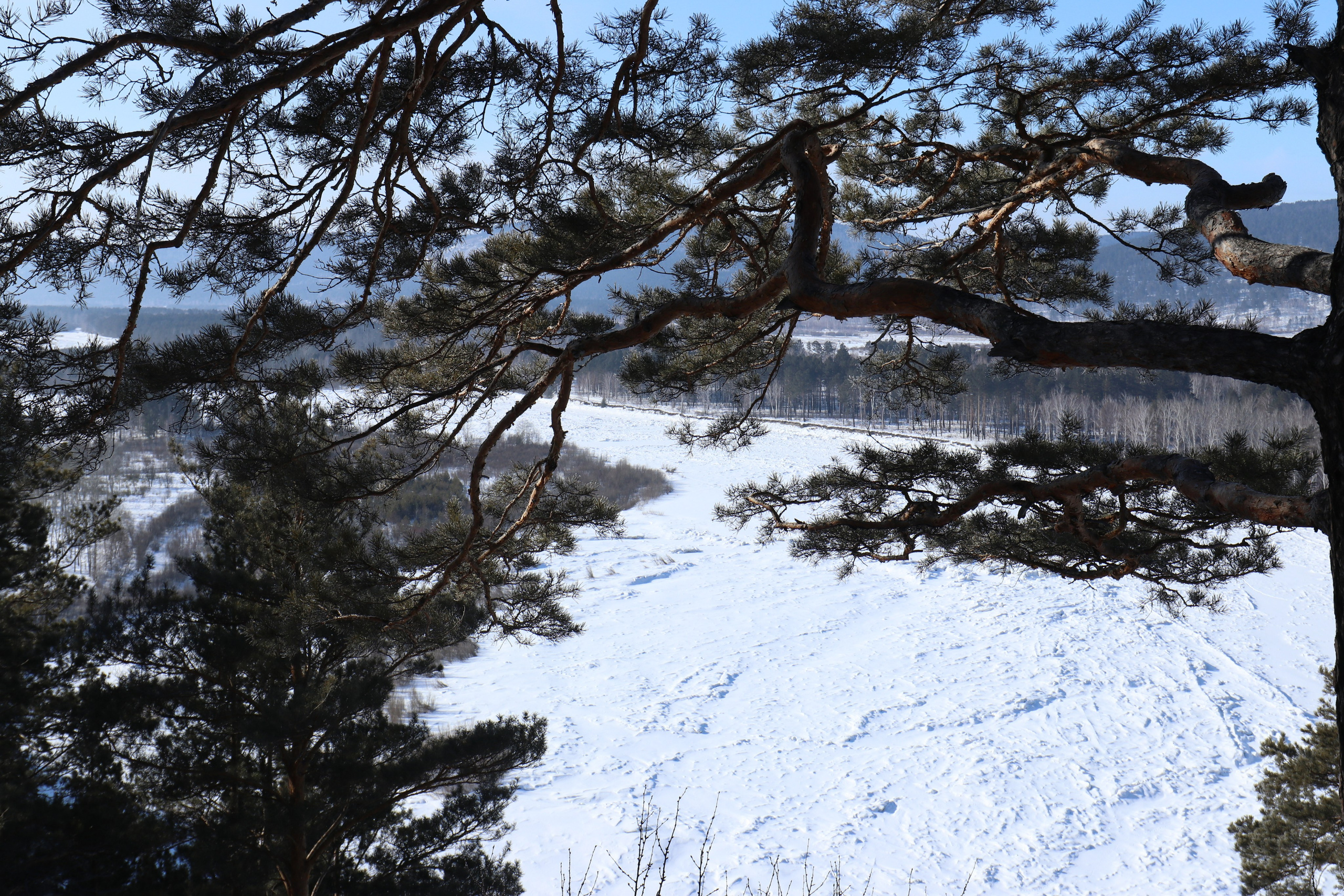 Аршан. Февраль 2025. Путешественник-фотограф из Санкт-Петербурга Татьяна Свистулина